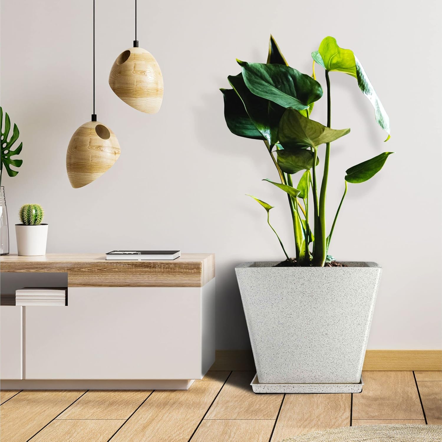 Bonsai for Beginners in India: Choosing the Right Pot and Soil