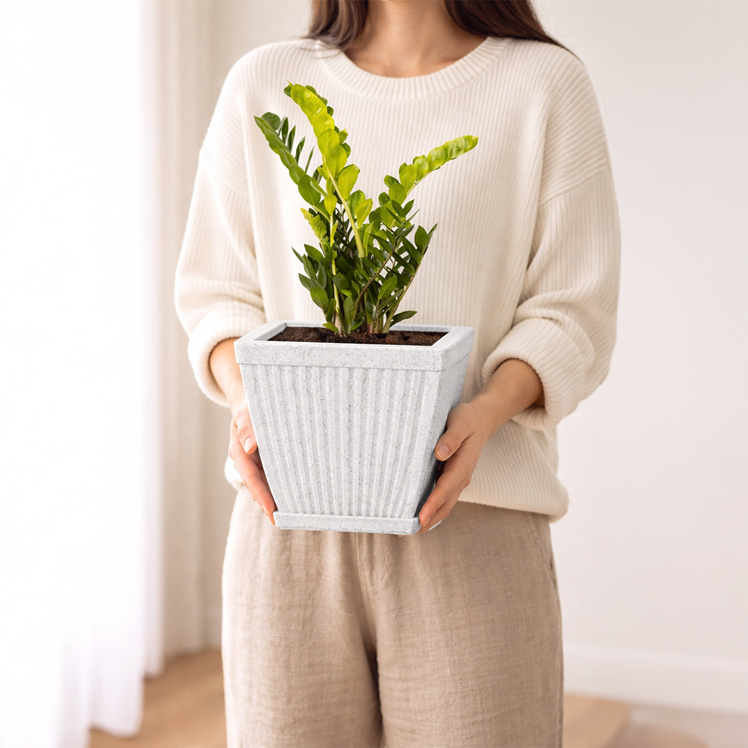 What Is a Roto-Moulded Pot? Why It Lasts Longer for Big Outdoor Plants