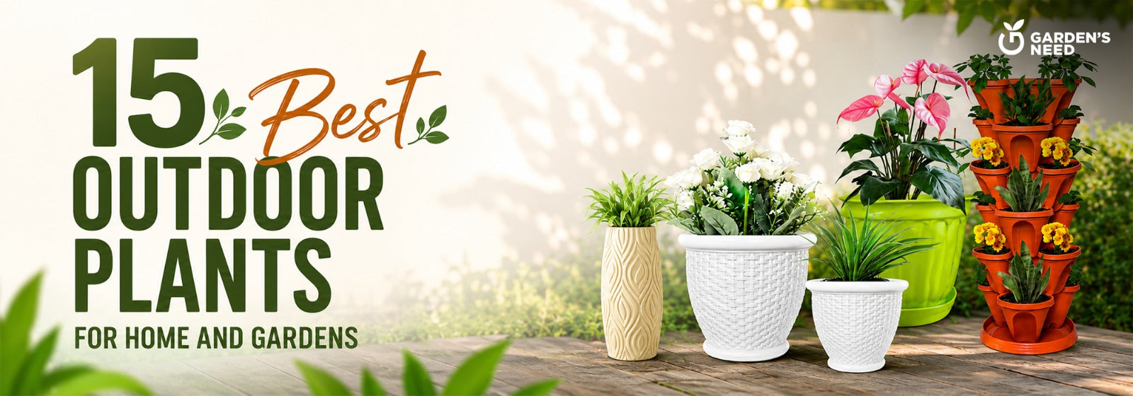 15 Best Outdoor Plants For Home and Gardens