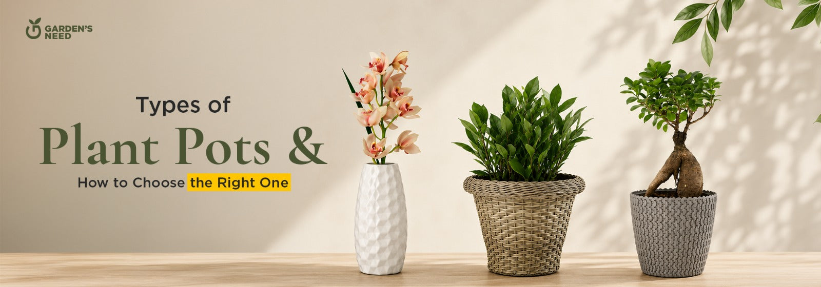 Types of Pots for Plants: A Complete Guide to Choosing the Right Plant Pot