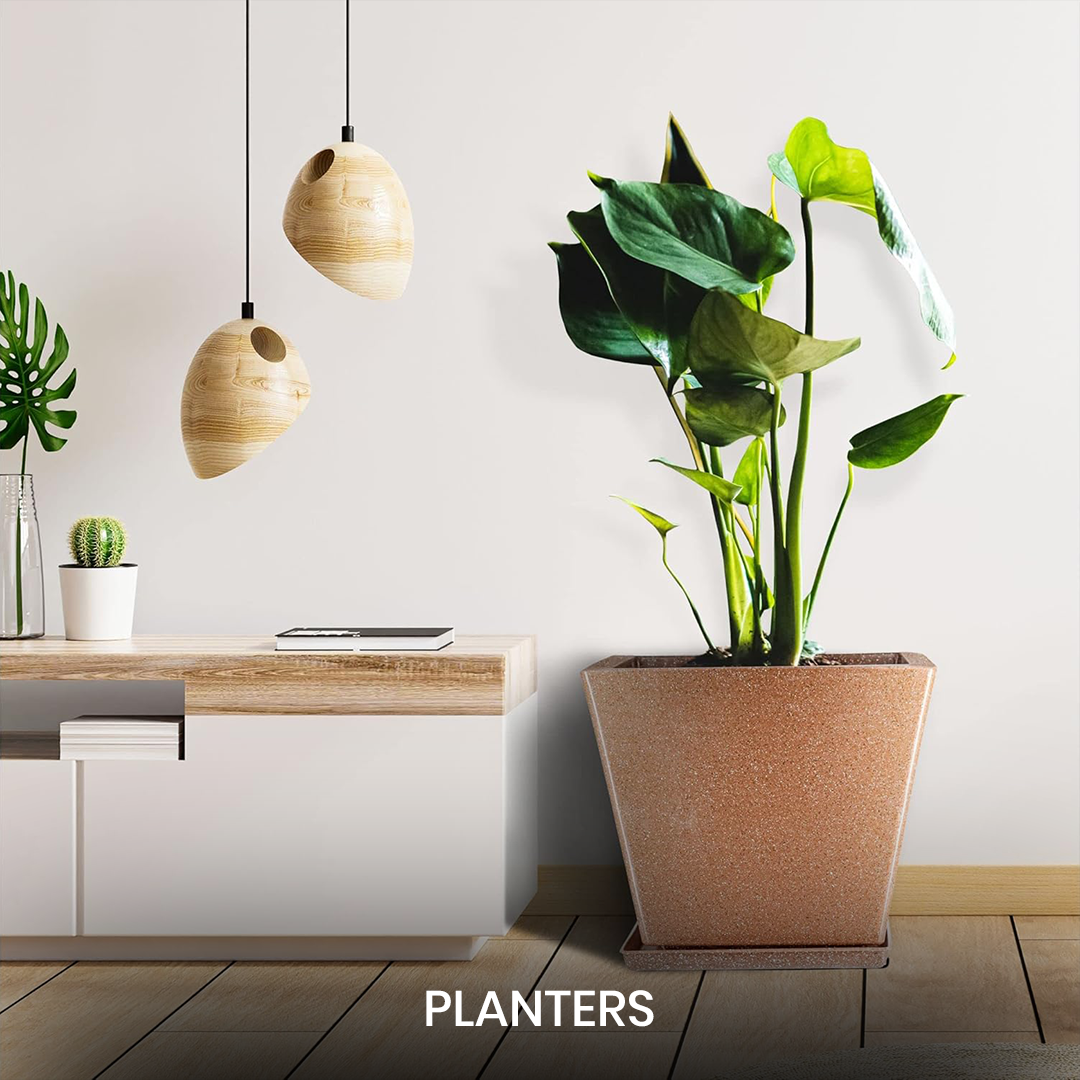 Planters