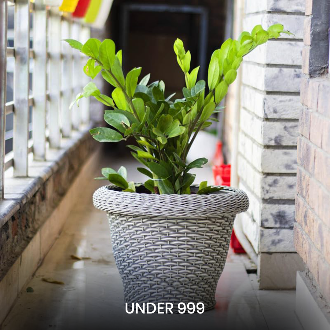 Under 999