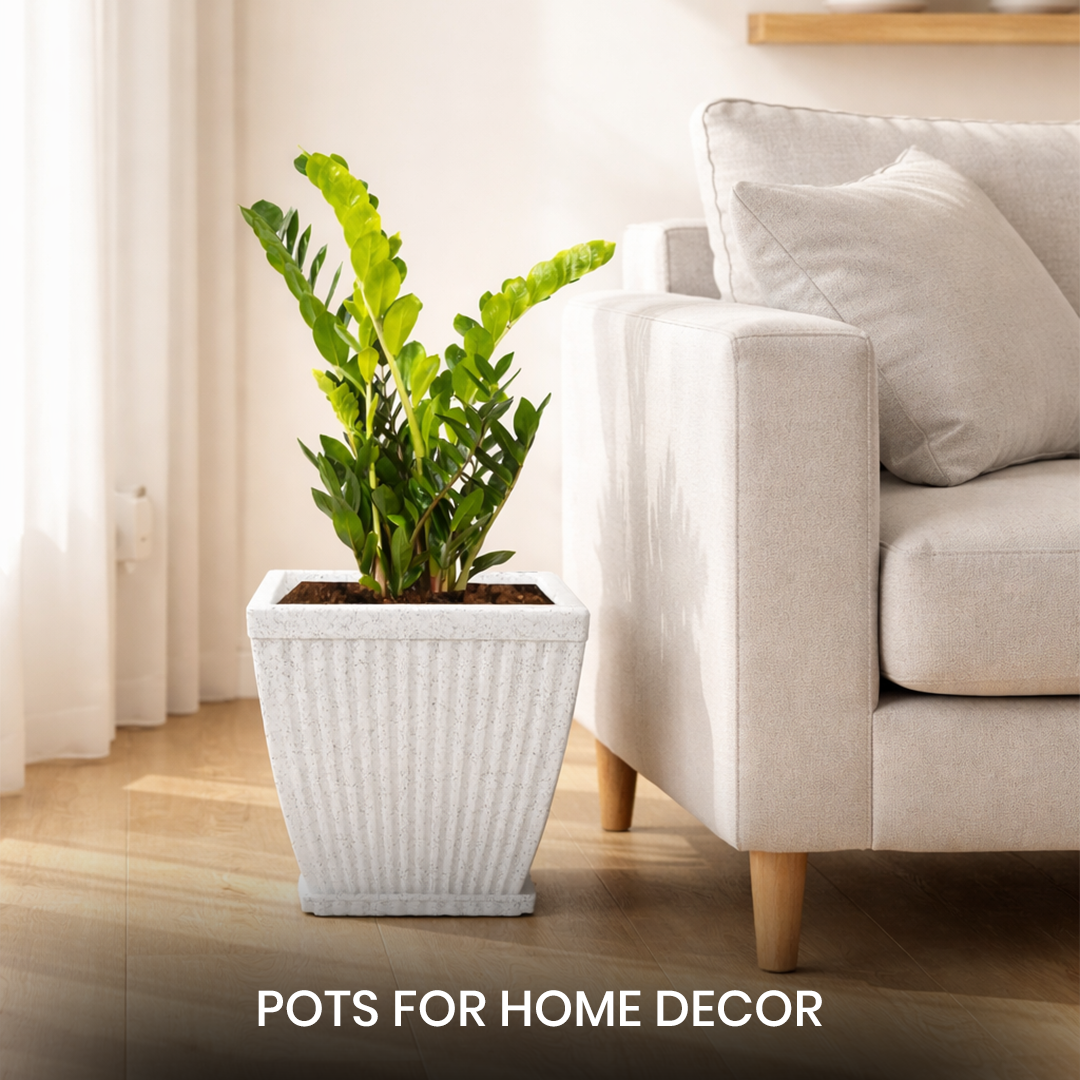 Pots for Home Decor