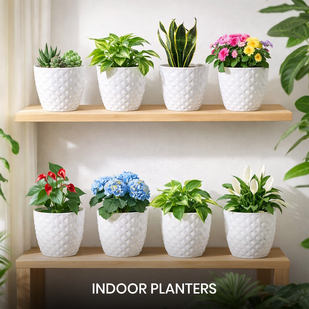 Indoor Planters