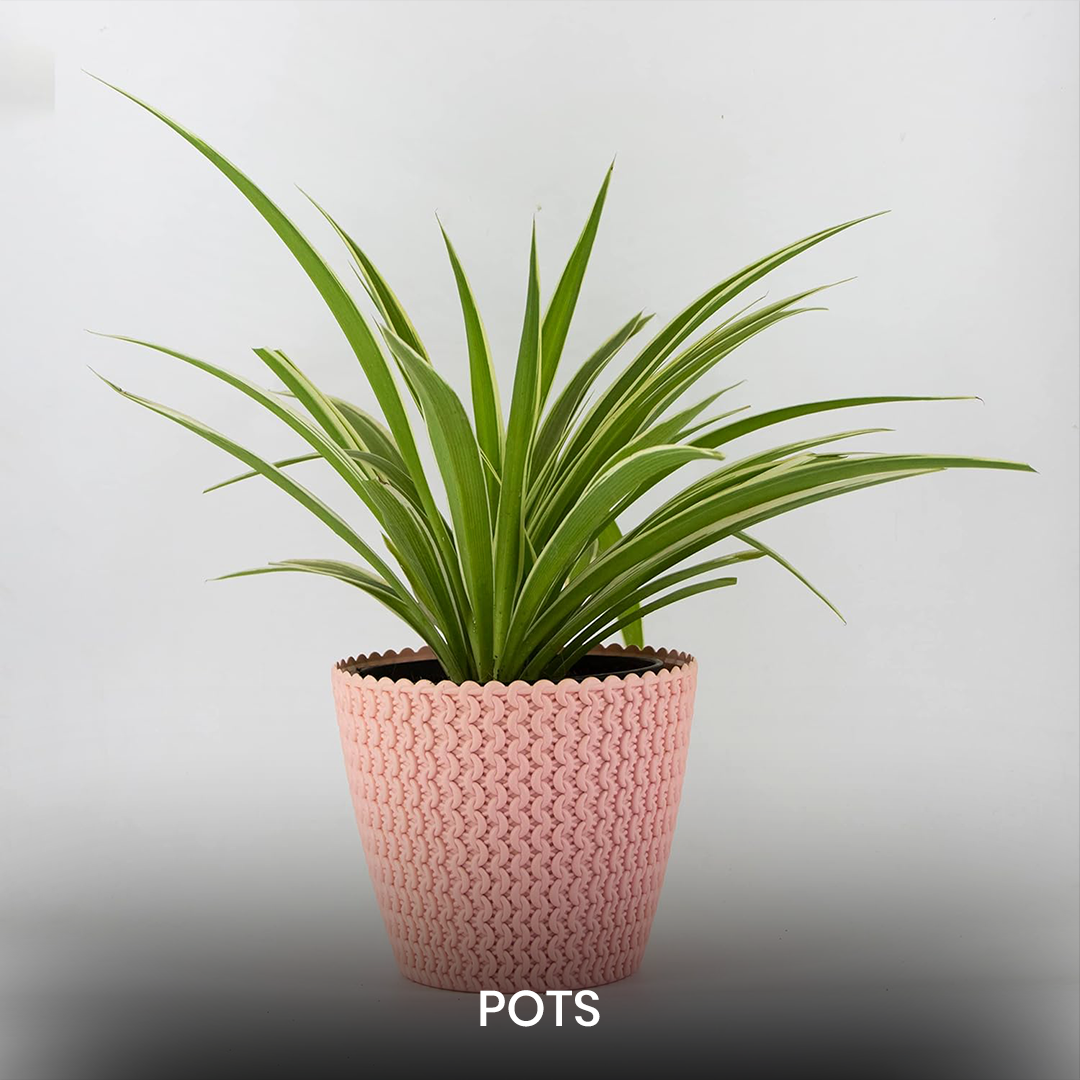 Pots