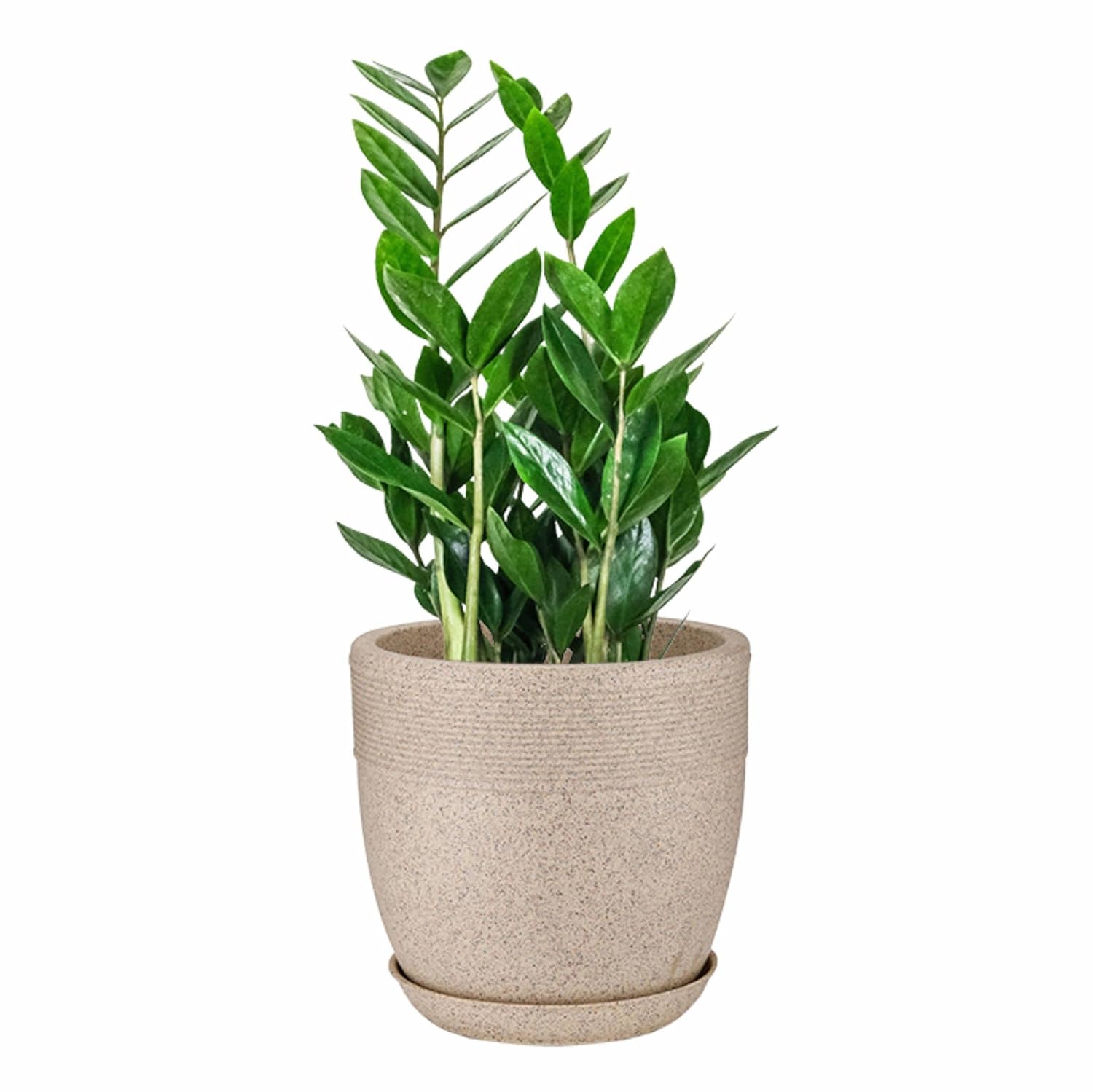 Set of 4 Roto Moulded Flower Pots with Trays (10 Inch,12 Inch,15 Inch & 17 Inch)