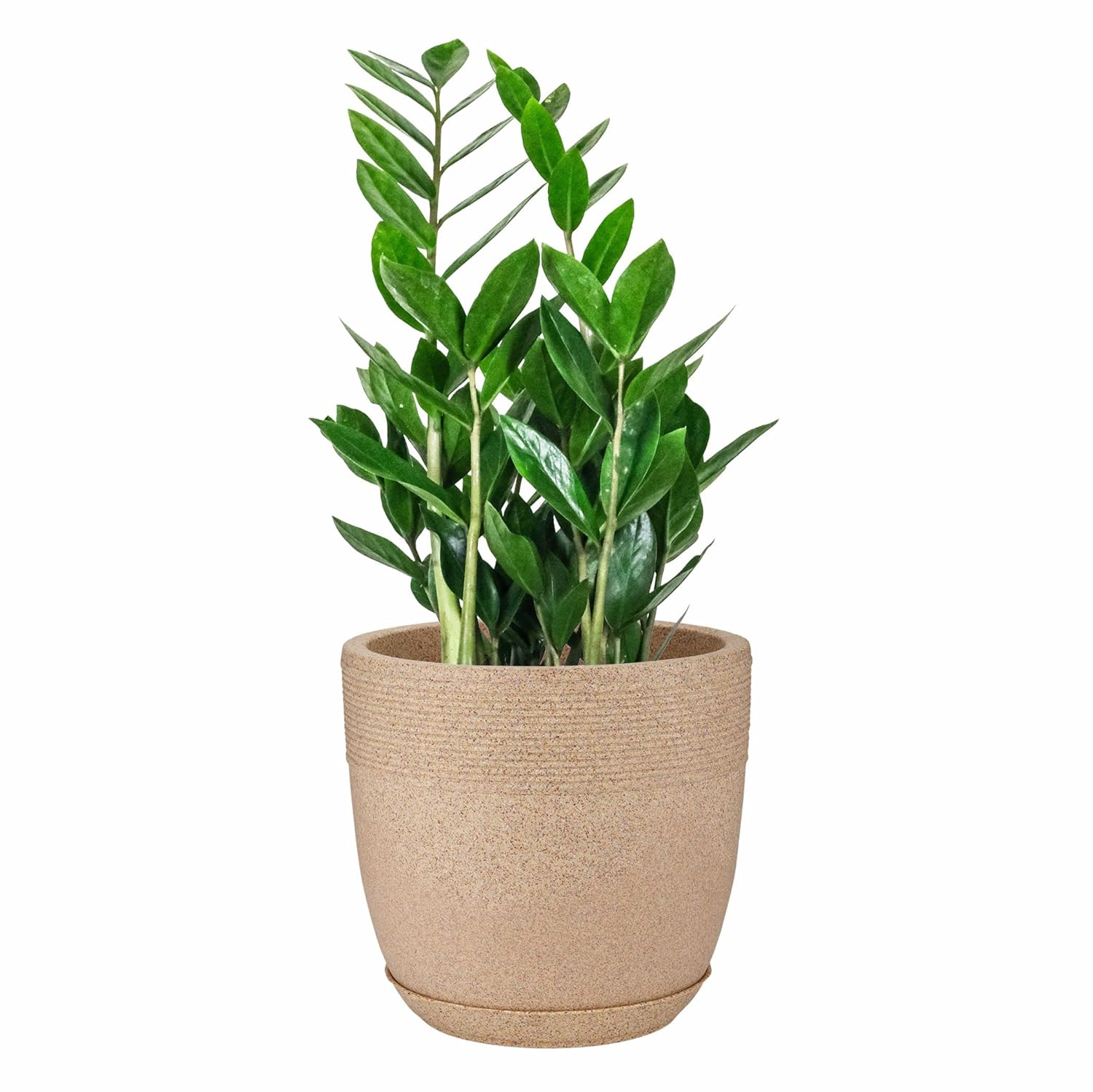 Set of 4 Roto Moulded Flower Pots with Trays (10 Inch,12 Inch,15 Inch & 17 Inch)