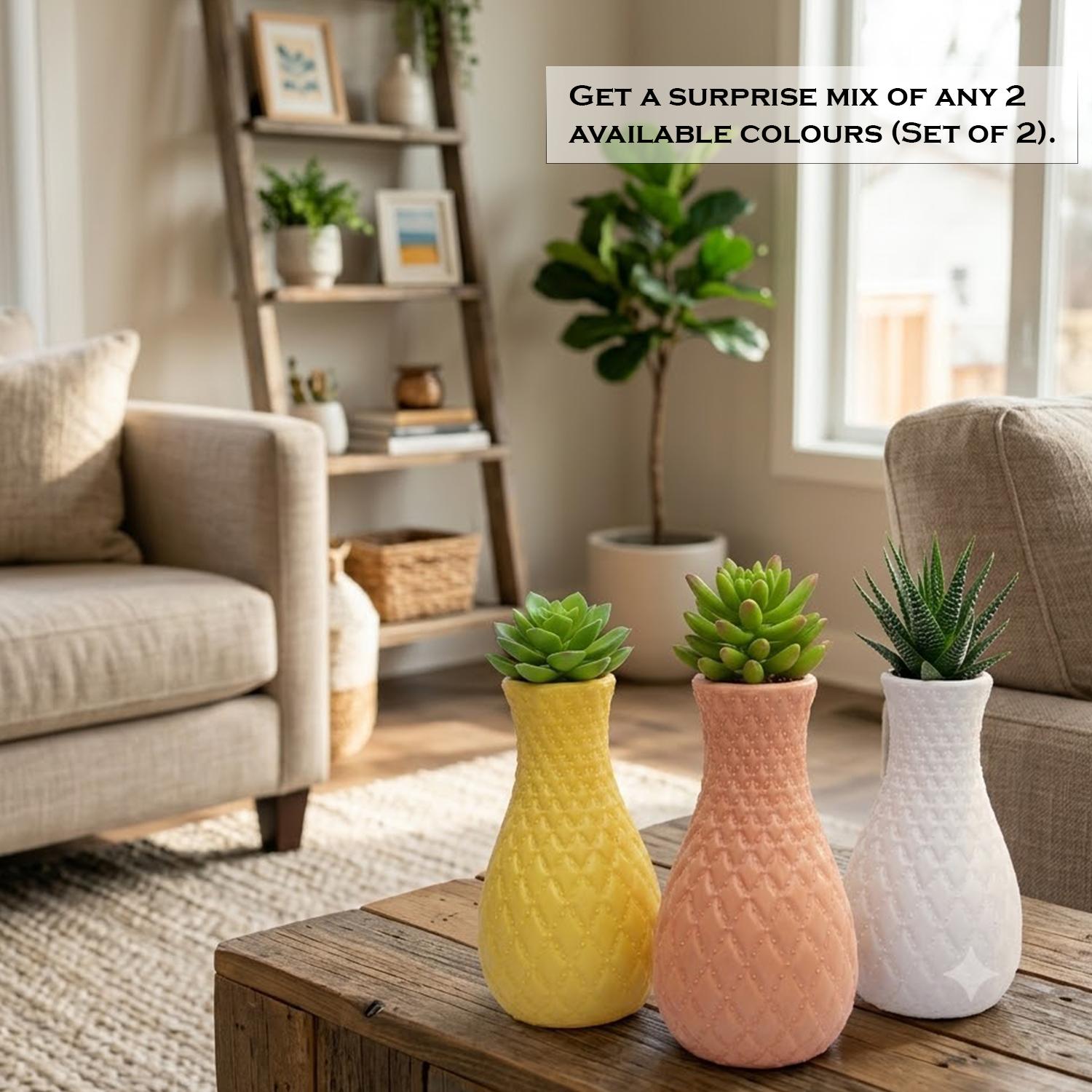 Elegant Beauty Planter Vase Set of 2 – Premium Mix Color Decorative Pots