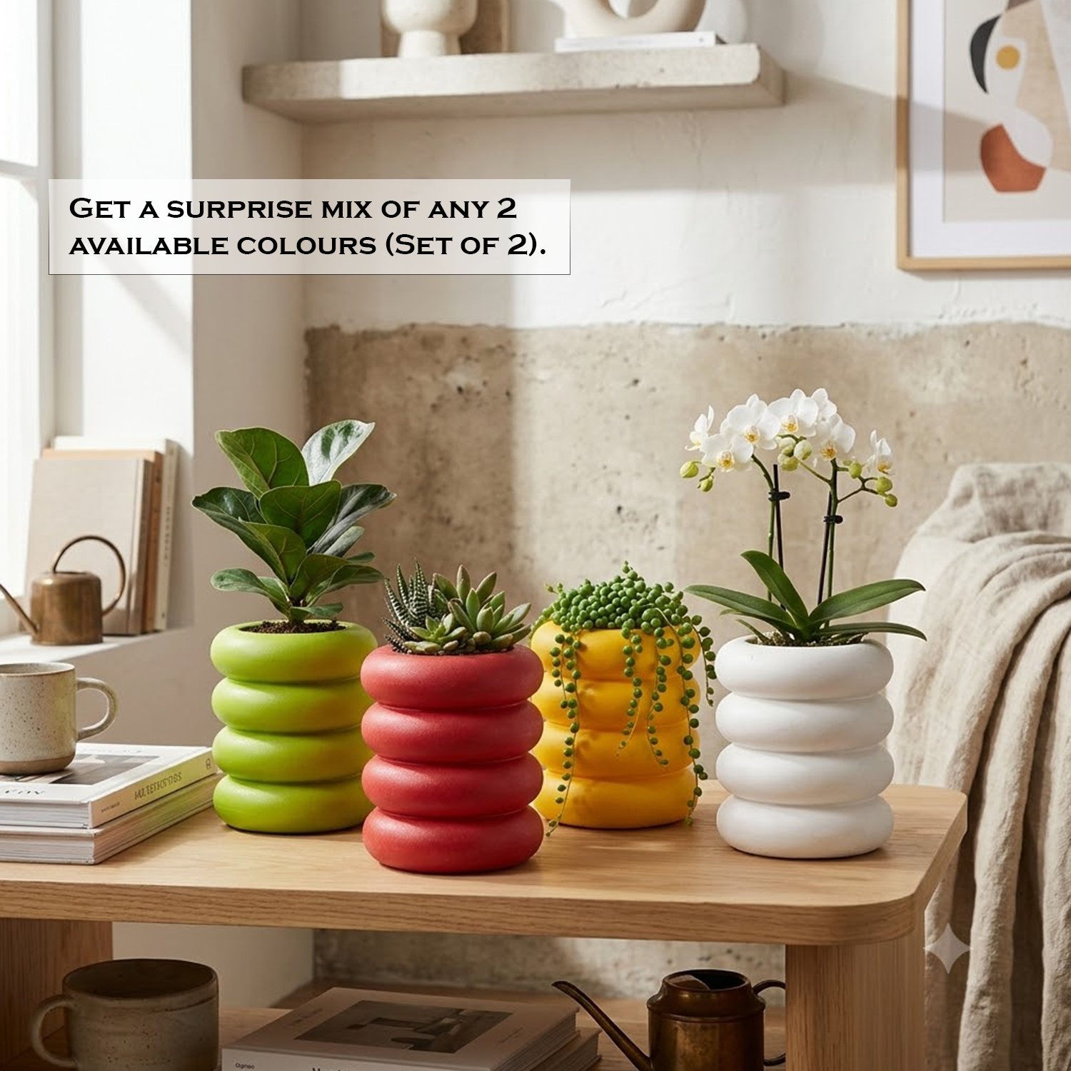 Modern Ring Pot Planters – Decorative Donut Design Set of 2 Mix Colors