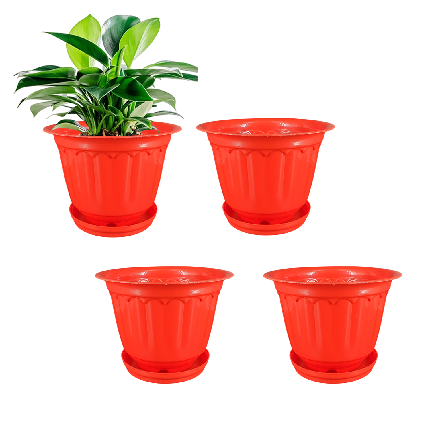 8 Inch Jasmine Planters with Drip Tray (Set of 4)  Home & Garden Decor