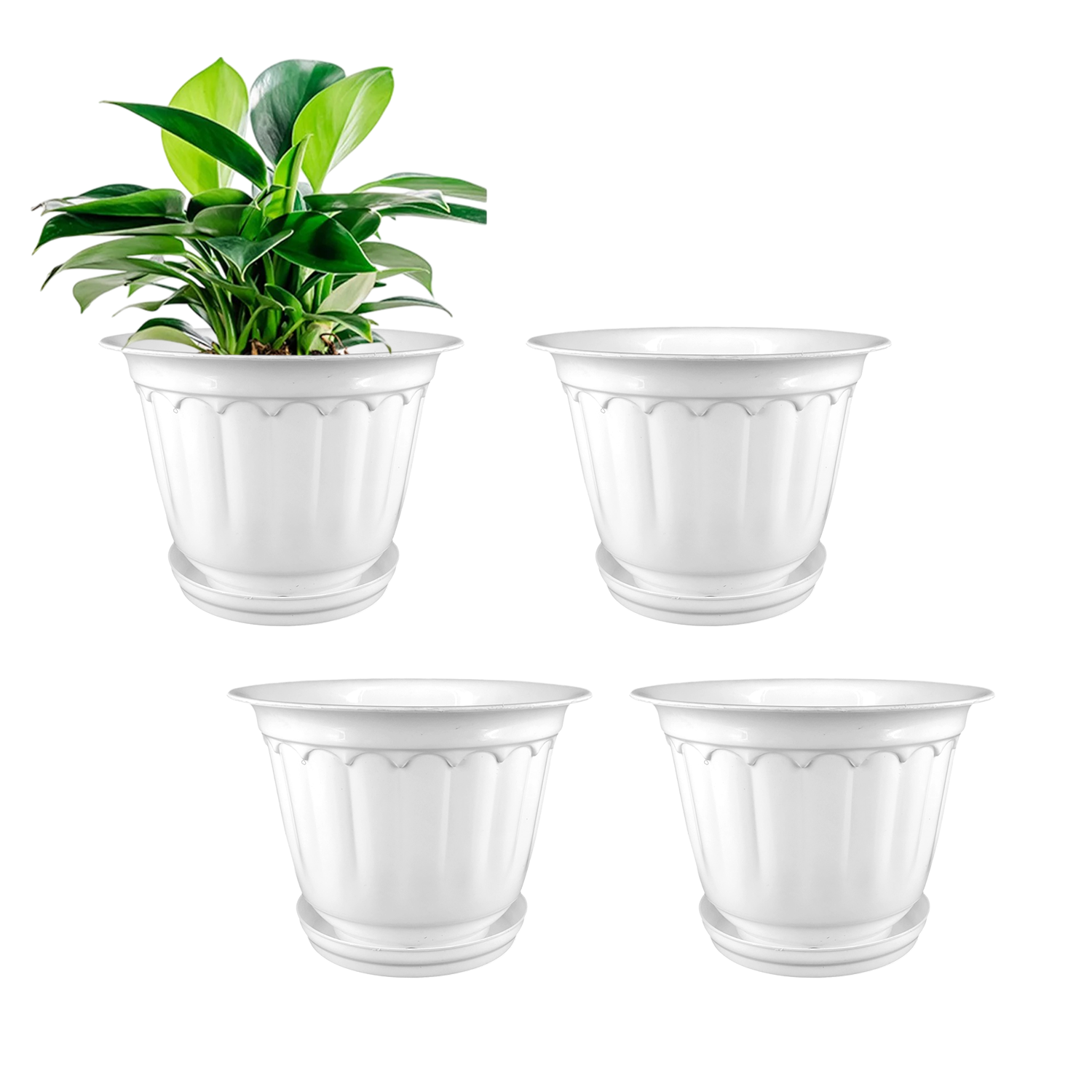 8 Inch Jasmine Planters with Drip Tray (Set of 4)  Home & Garden Decor