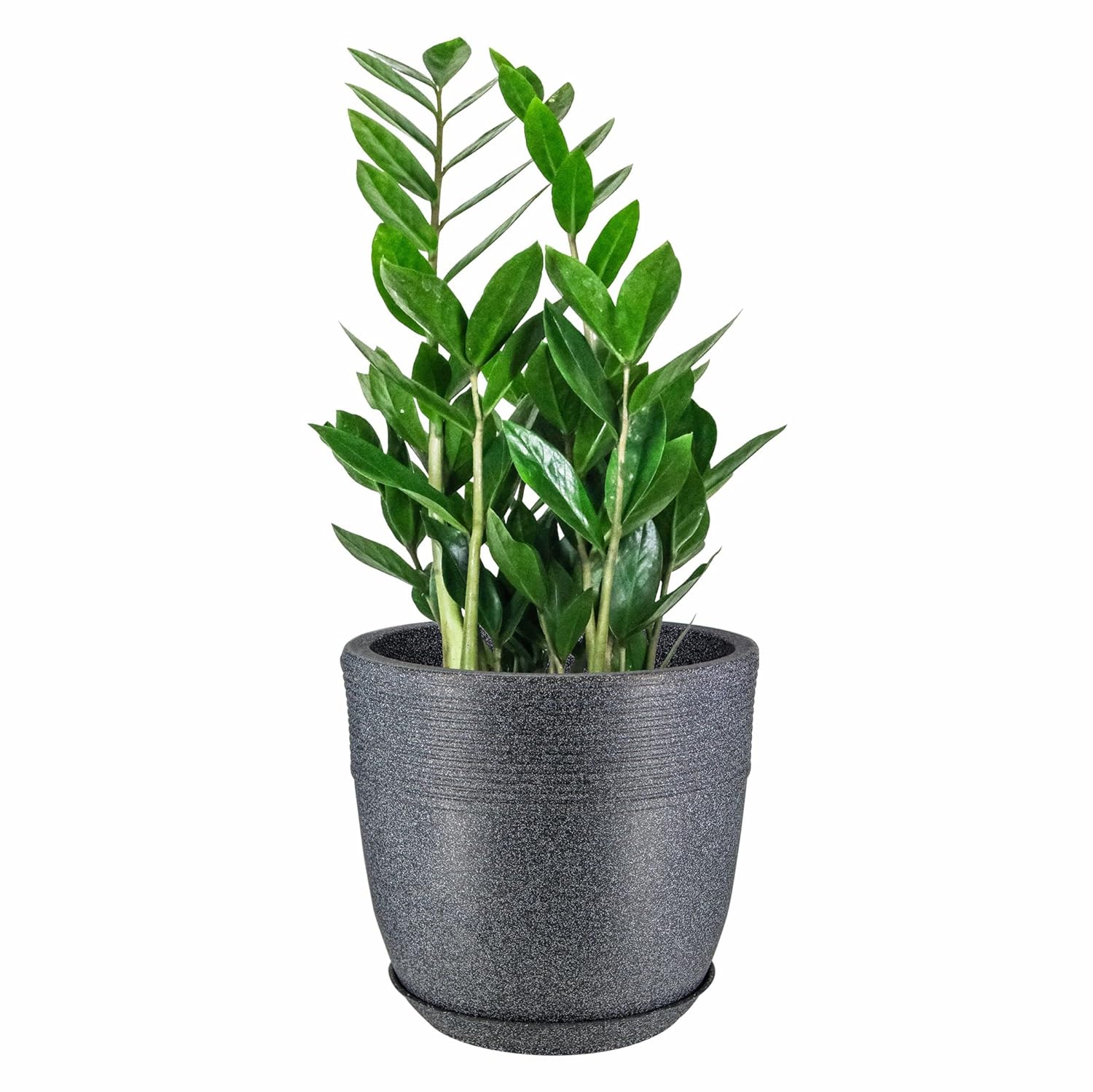 15 Inch Roto Moulded Flower Pot with Tray