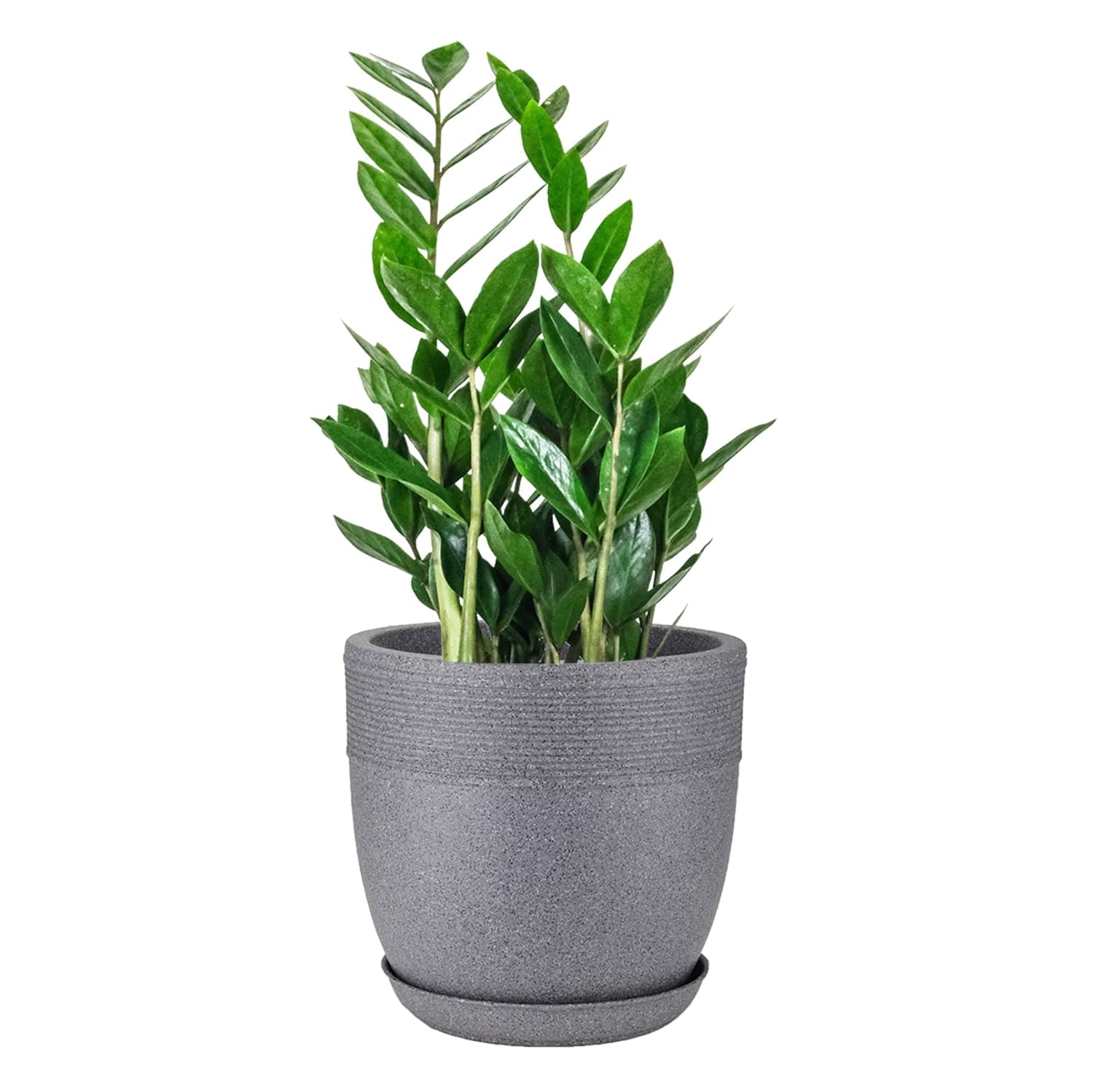Set of 4 Roto Moulded Flower Pots with Trays (10 Inch,12 Inch,15 Inch & 17 Inch)