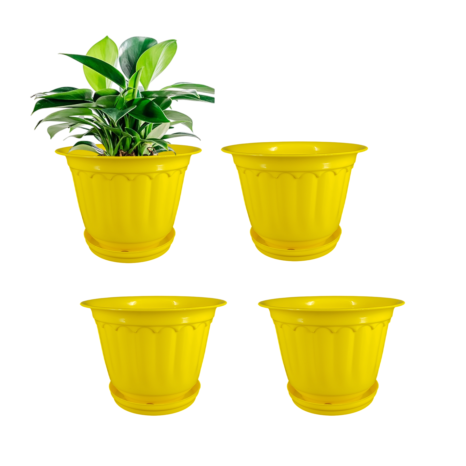 8 Inch Jasmine Planters with Drip Tray (Set of 4)  Home & Garden Decor