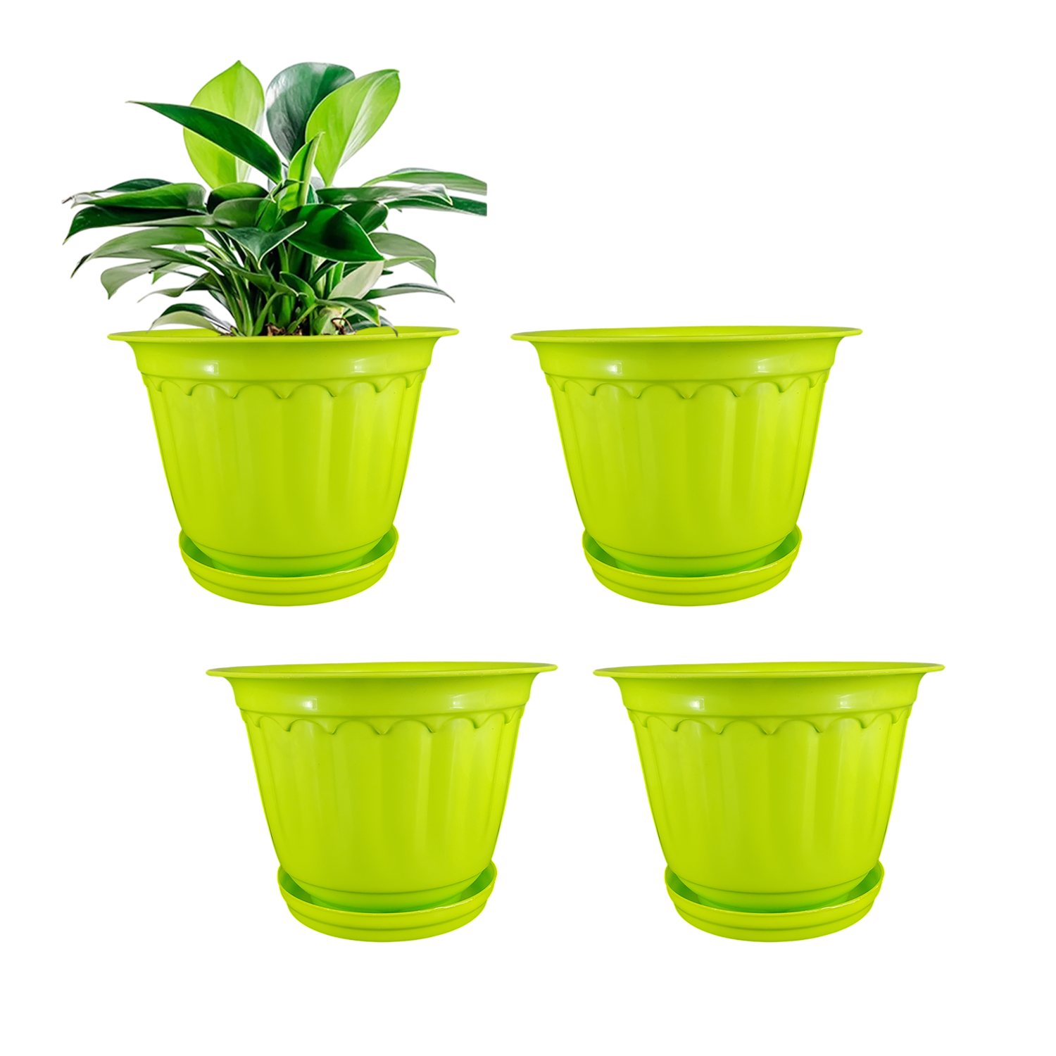 8 Inch Jasmine Planters with Drip Tray (Set of 4)  Home & Garden Decor