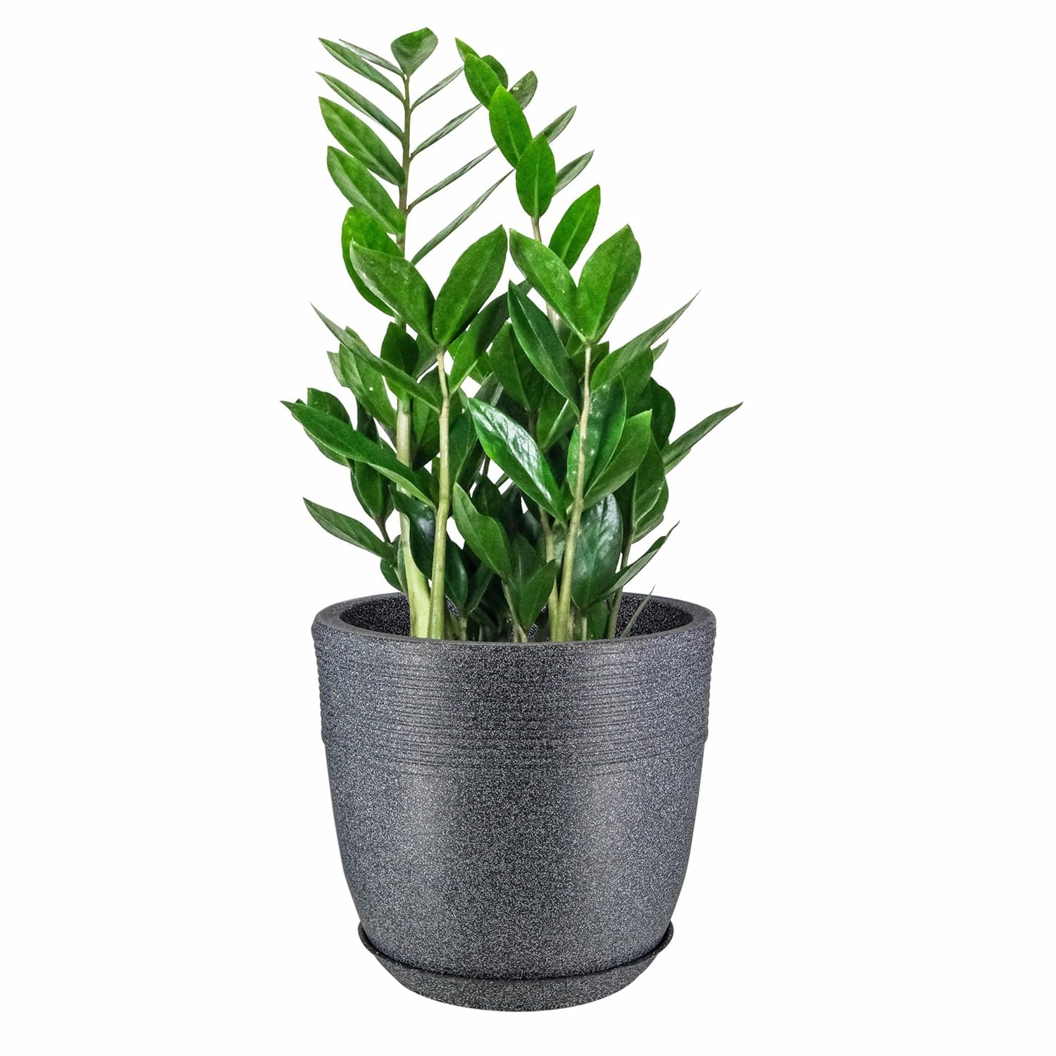 10 Inch Roto Moulded Flower Pot with Tray
