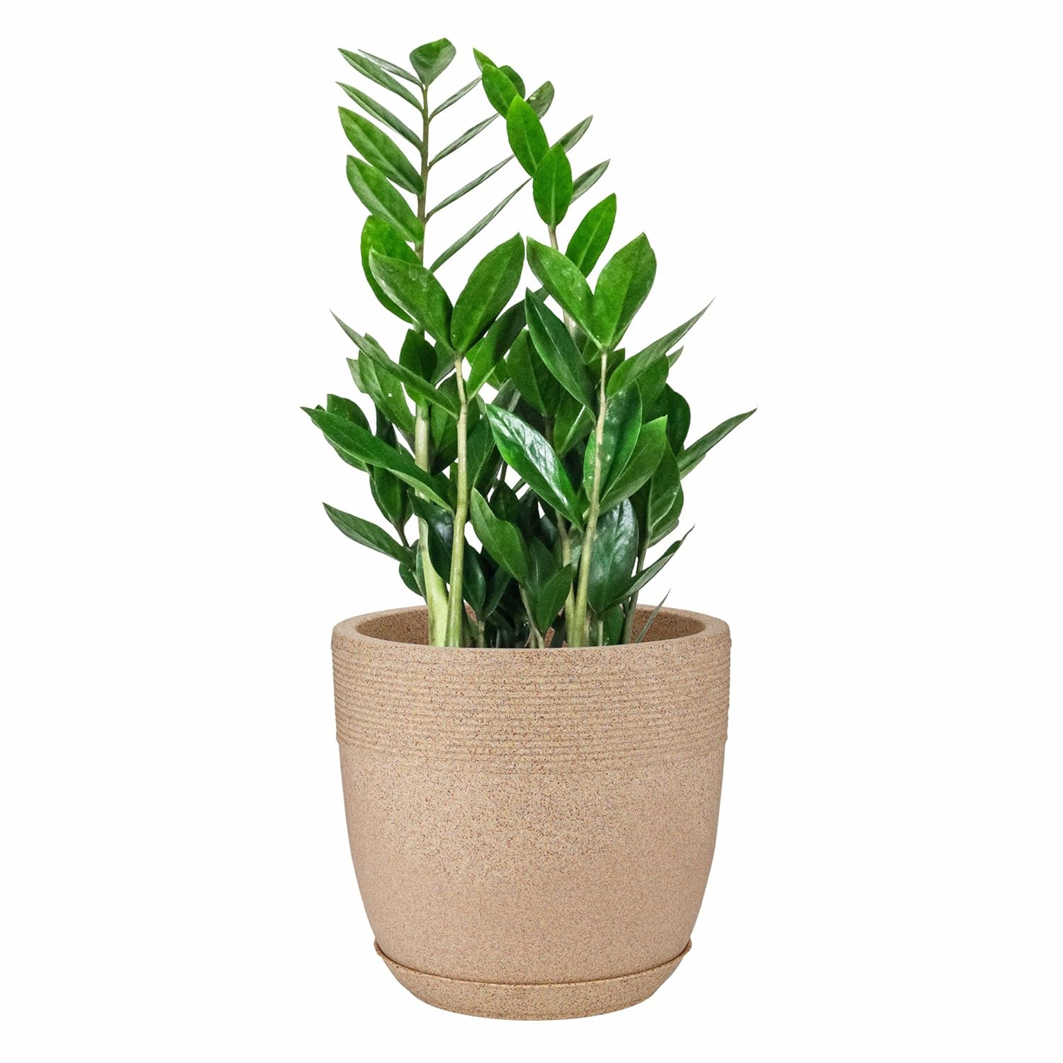 15 Inch Roto Moulded Flower Pot with Tray