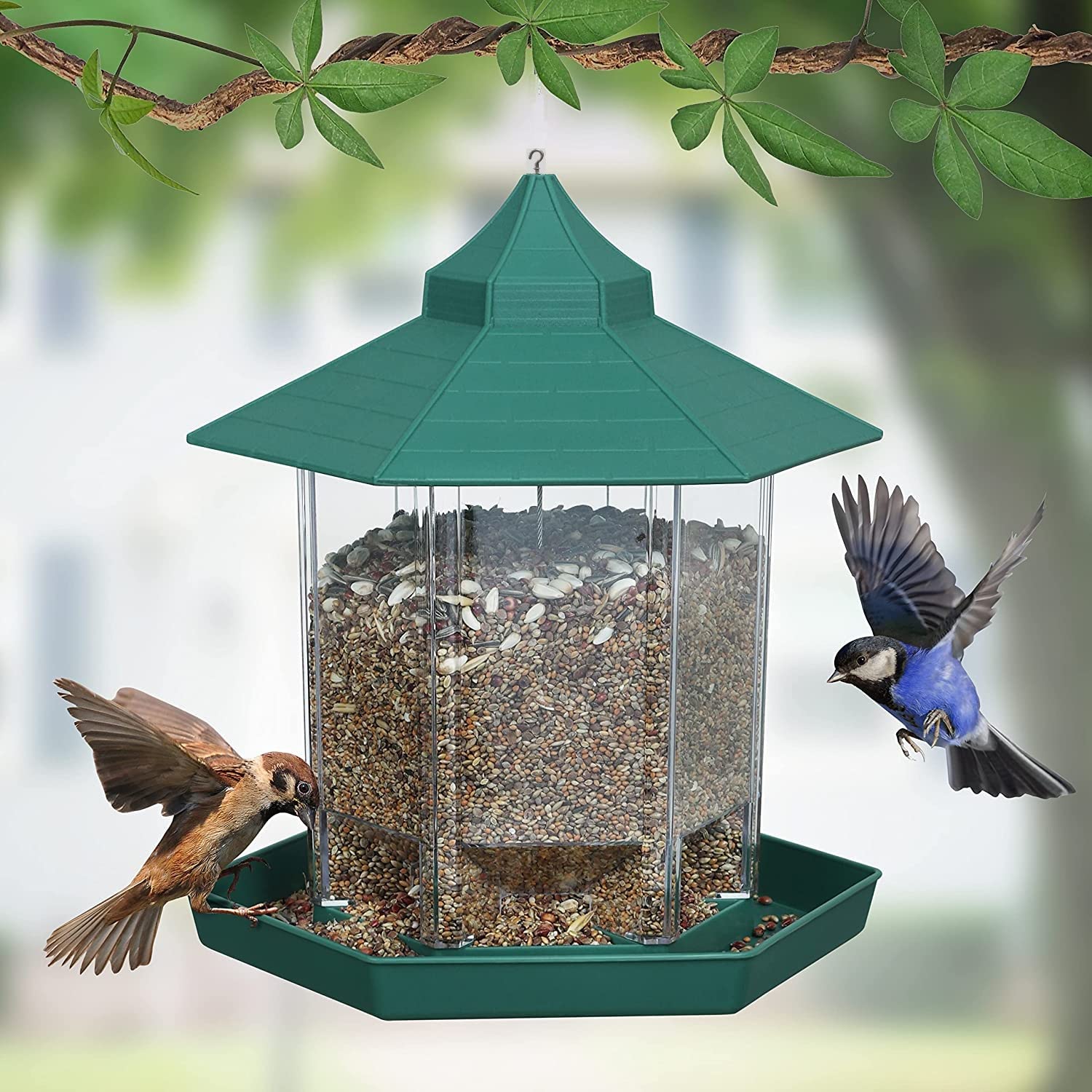 Hut Shaped Bird Feeder with Transparent Grain Holder with Hanging Wire (Green)