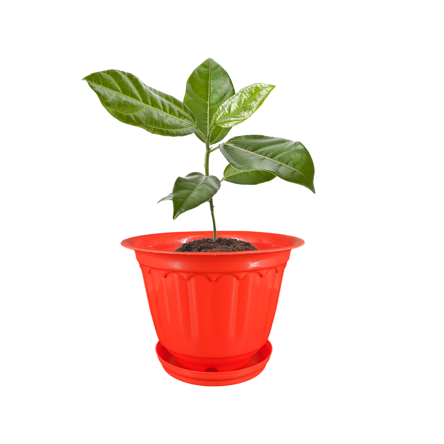 10 Inch Jasmine Planters with Drip Tray Home & Garden Decor (Set of 3)