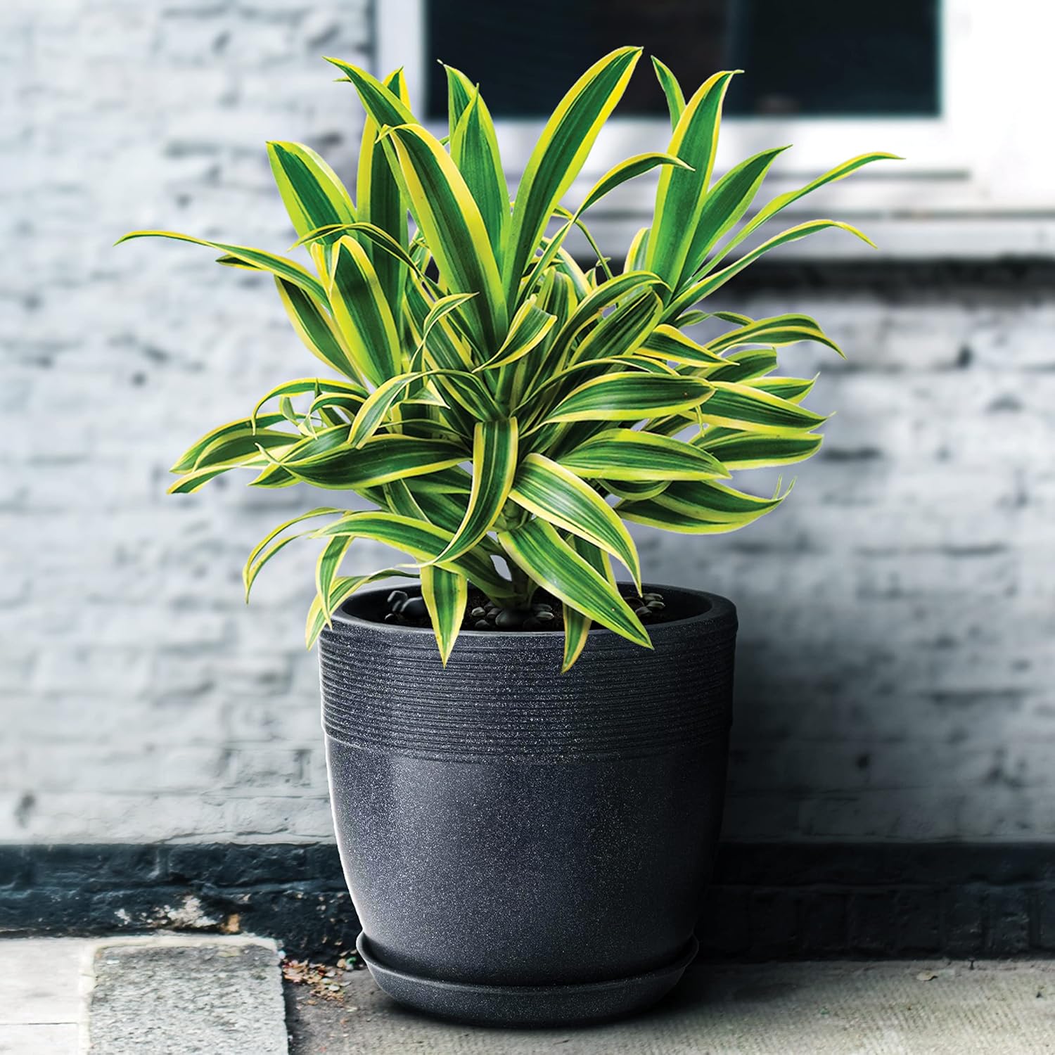 15 Inch Roto Moulded Flower Pot with Tray