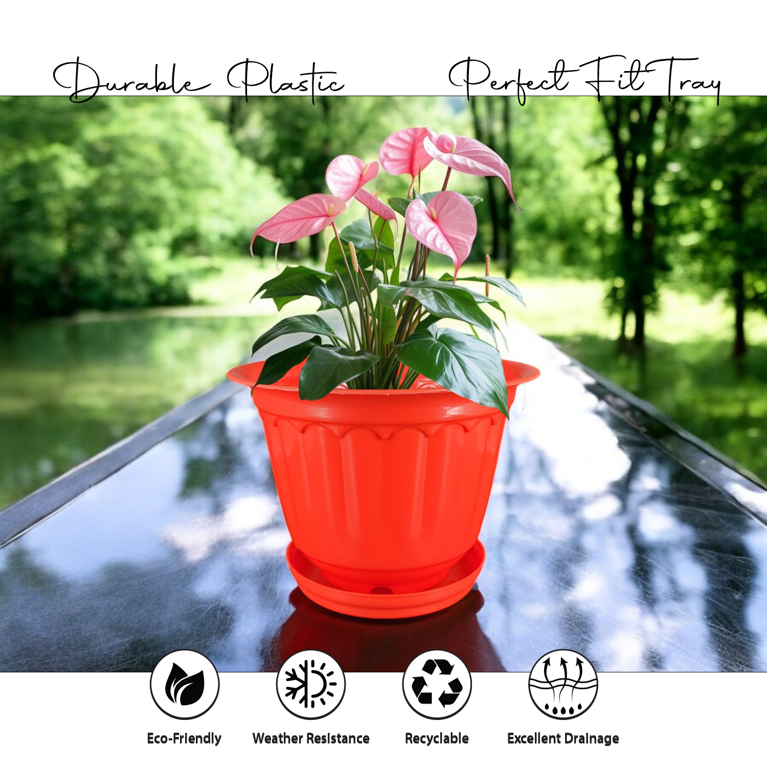 8 Inch Jasmine Planters with Drip Tray (Set of 4)  Home & Garden Decor