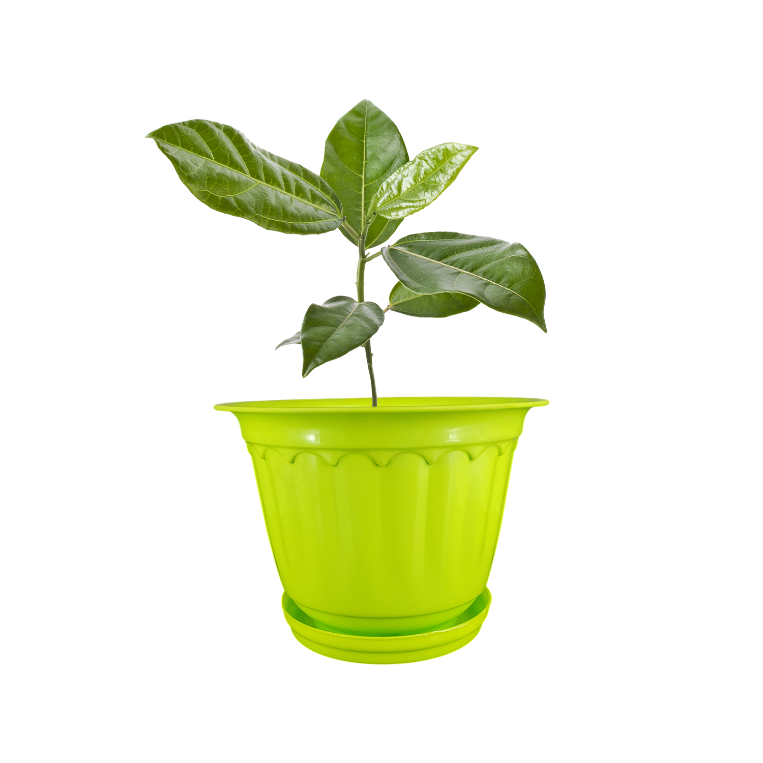 10 Inch Jasmine Planters with Drip Tray Home & Garden Decor (Set of 3)