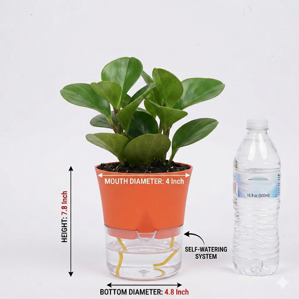 Austin 4" Round Minimalist Planter Pots (Set of 4)