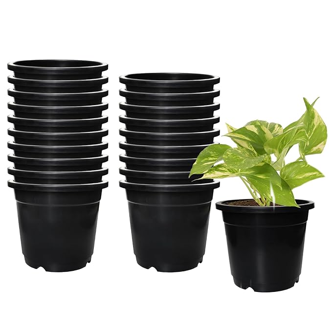 Black Plastic Nursery Pots, 6 Inch, Set of 20 – 100% Virgin Plastic Round Planters for Indoor & Outdoor Use, Home, Office, Garden & Balcony Decor