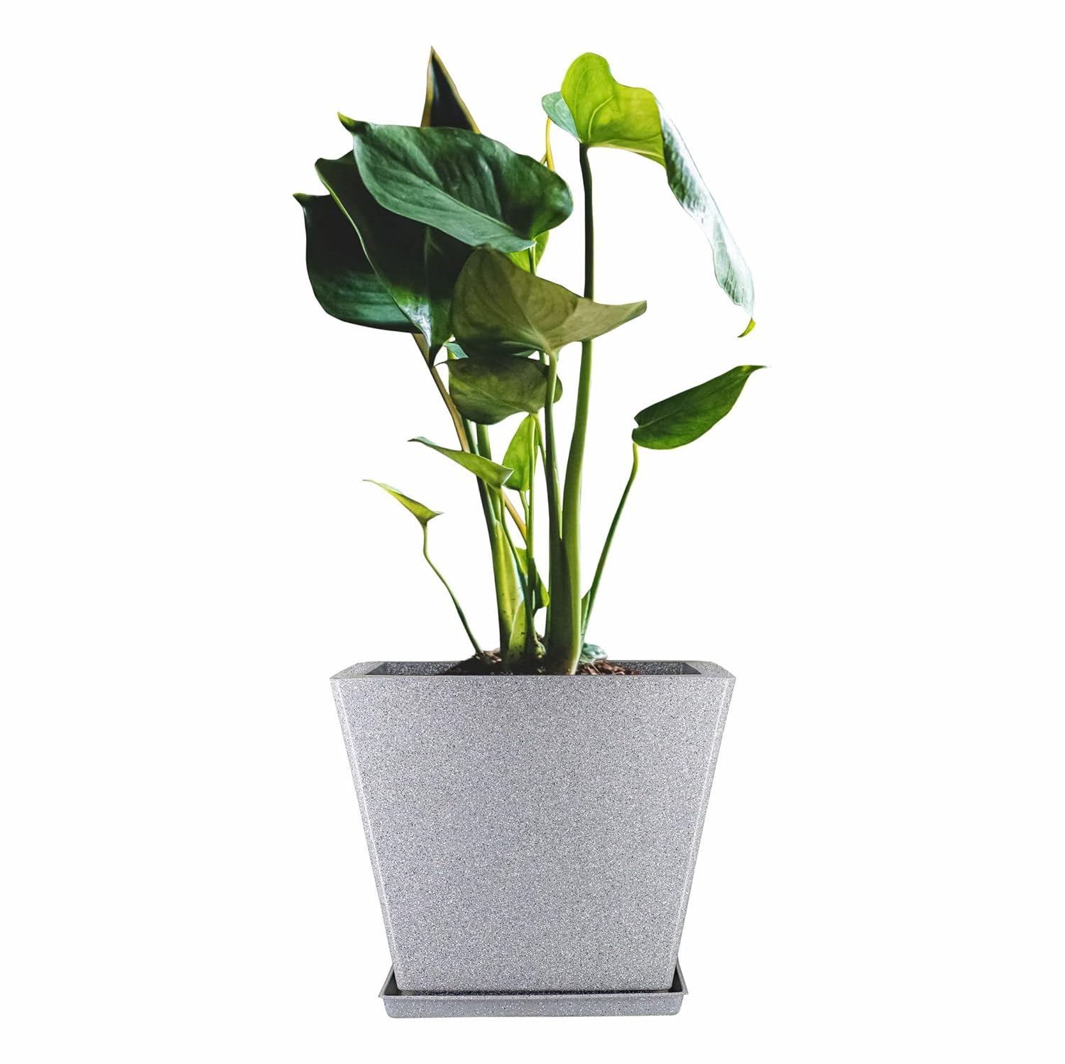 10 Inch Square Greece Marble Look Flower Pot with Tray