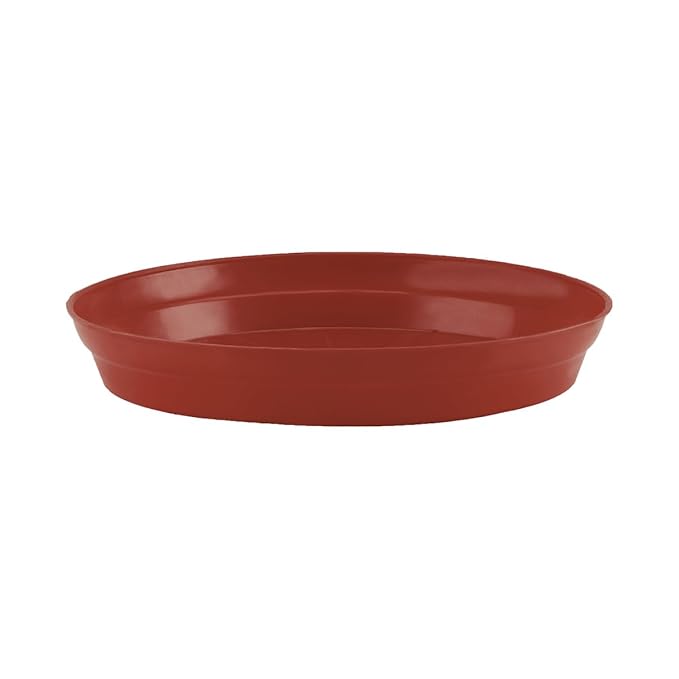 Round Plastic Pots for Plants with Bottom Tray | Indoor & Outdoor Flower Pots for Home, Office, Table, Garden, Balcony Decoration | 12 Inch, Set of 10 | Brown