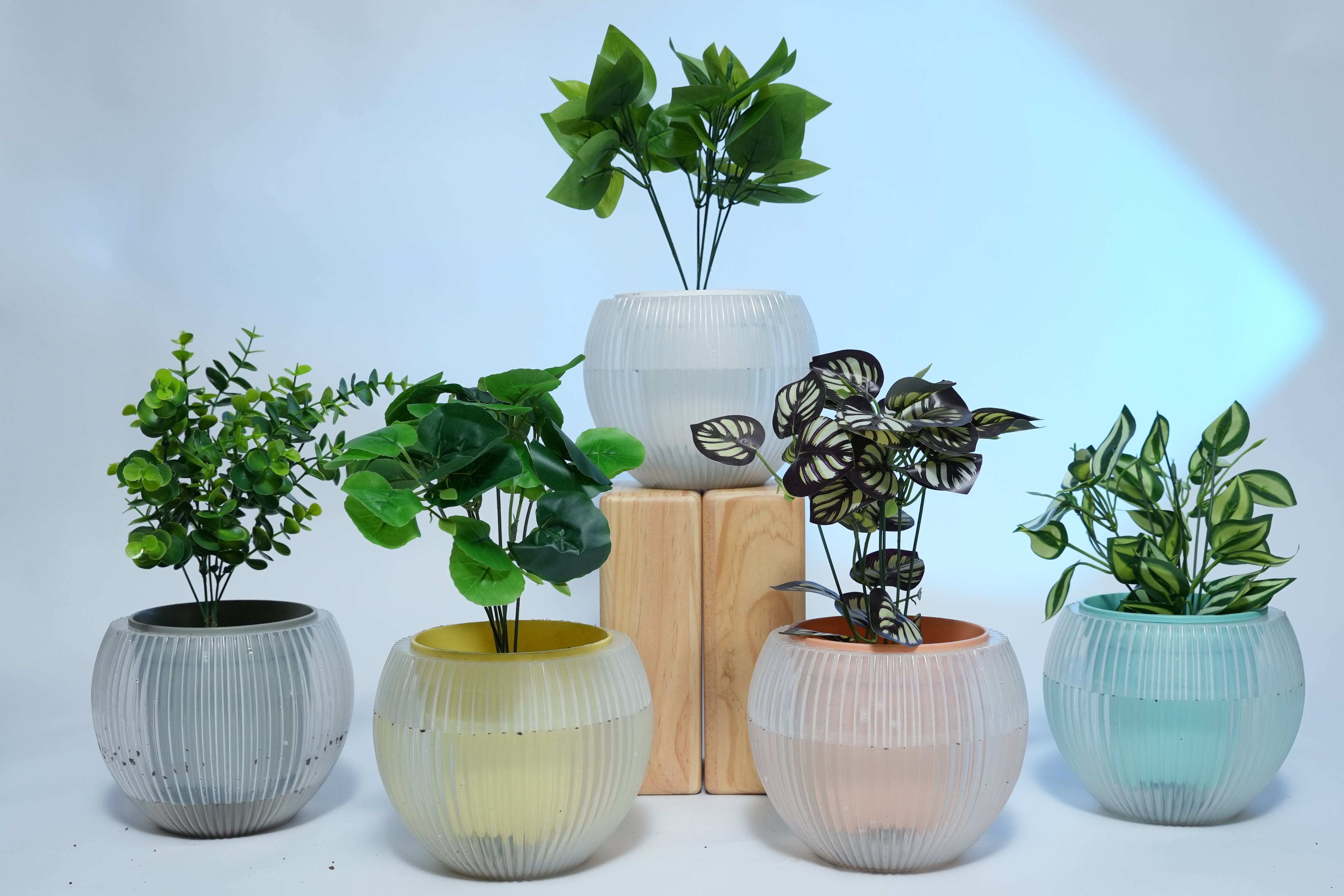 melon indoor plant 7" Self-Watering Melon Planter – SmartCare Indoor & Outdoor Pot