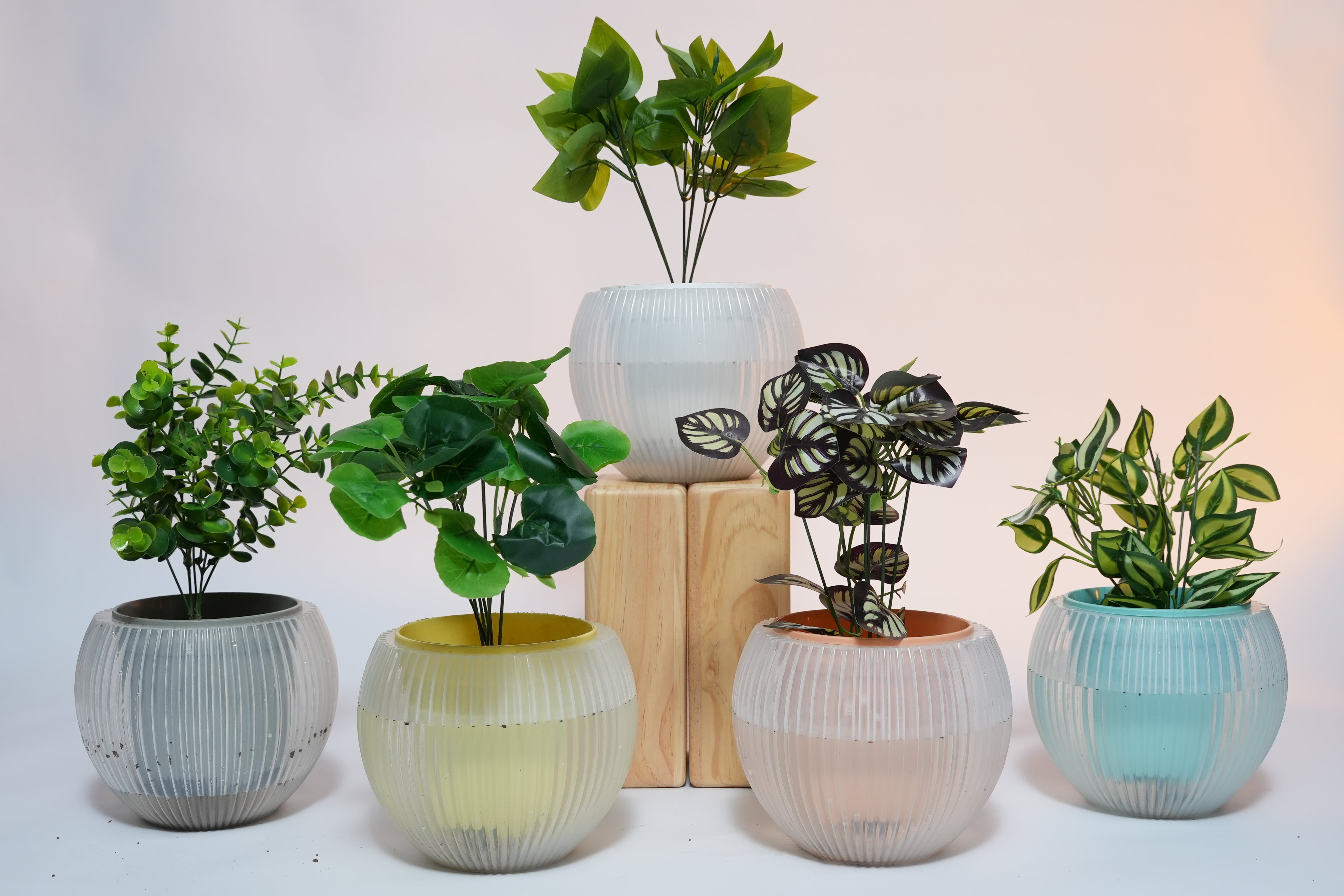 7" Self-Watering Melon Planter – SmartCare Indoor & Outdoor Pot