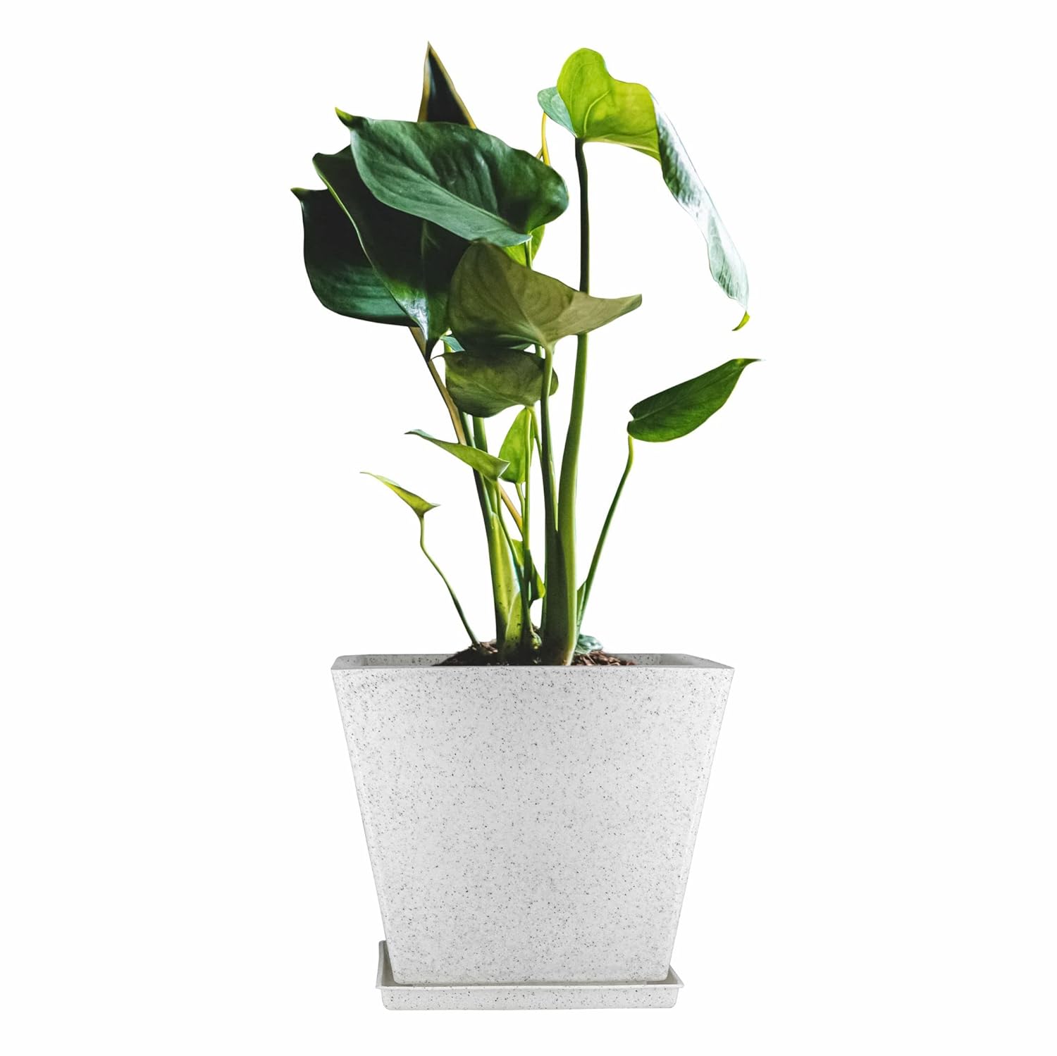 10 Inch Square Greece Marble Look Flower Pot with Tray