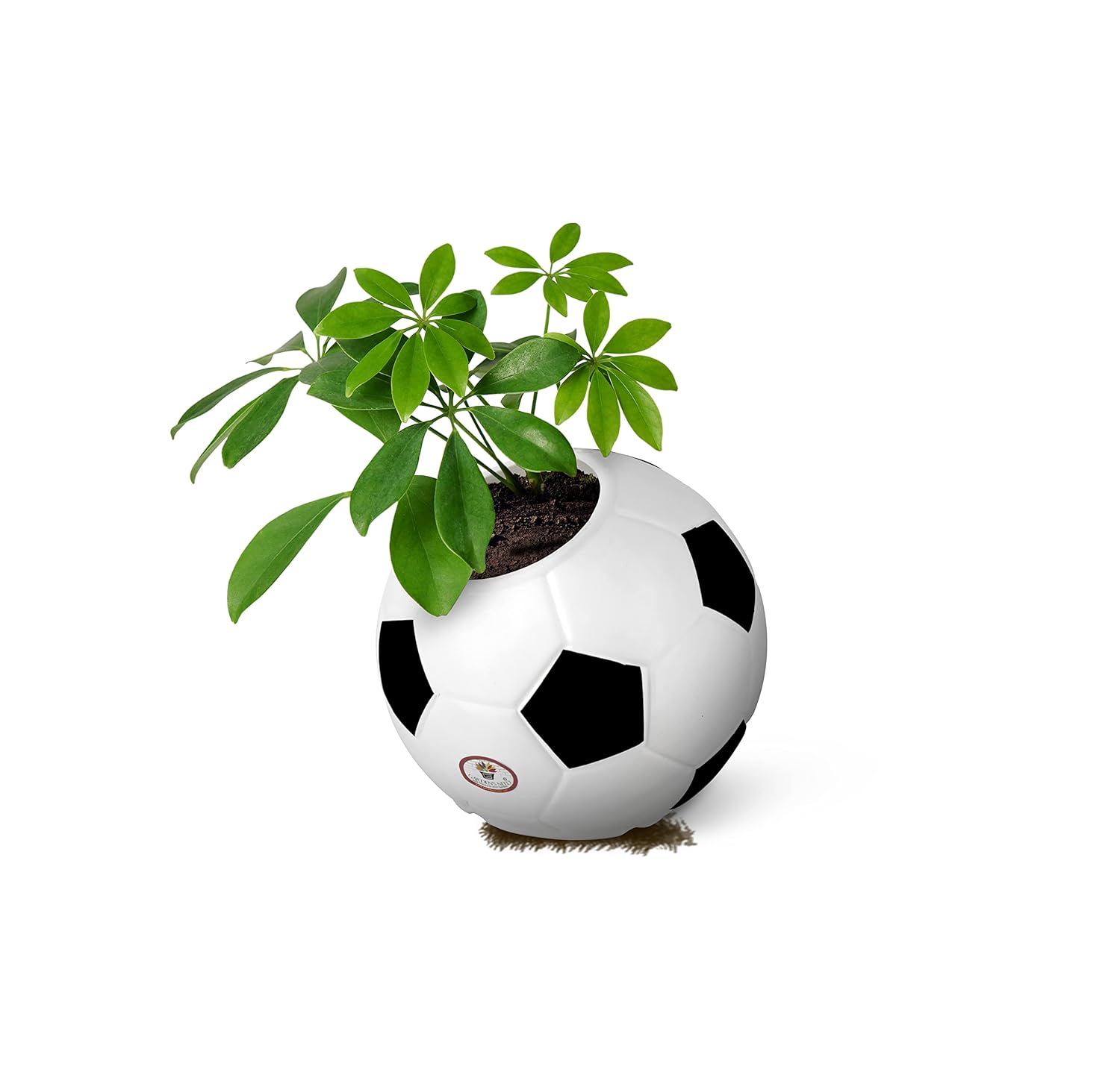 7.8 Inch Football Round Planter  UV Resistant, Lightweight White Pot (Indoor/Outdoor)