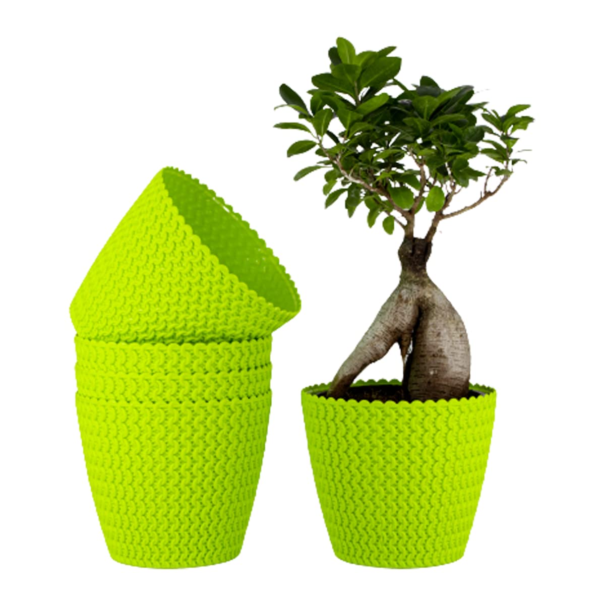 7 Inch Poppy Round Flower Pots  Set of 2