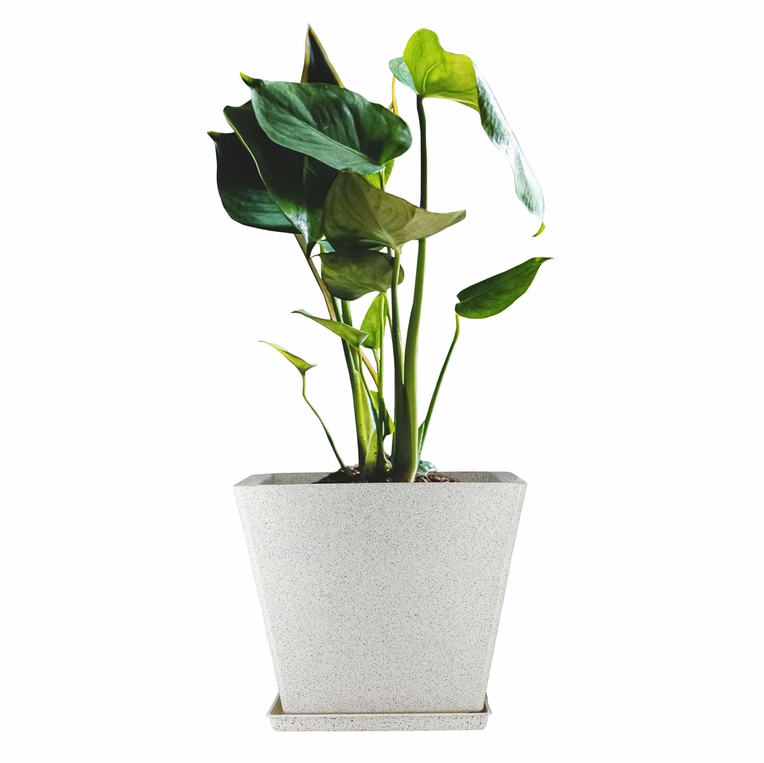 10 Inch Square Greece Marble Look Flower Pot with Tray
