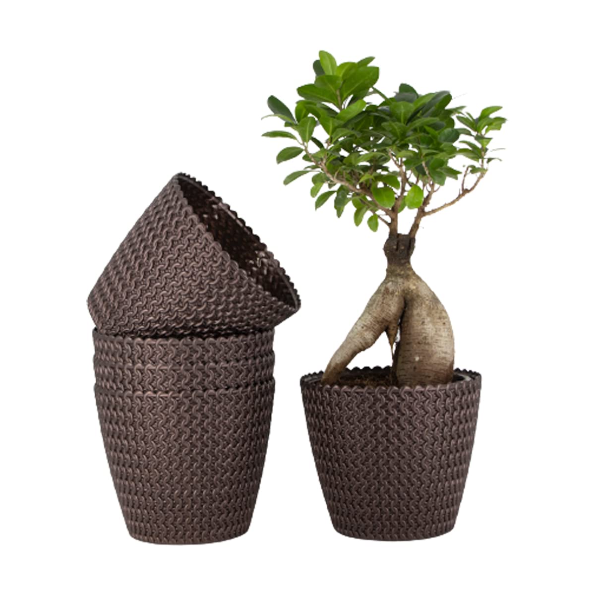 7 Inch Poppy Round Flower Pots  Set of 5
