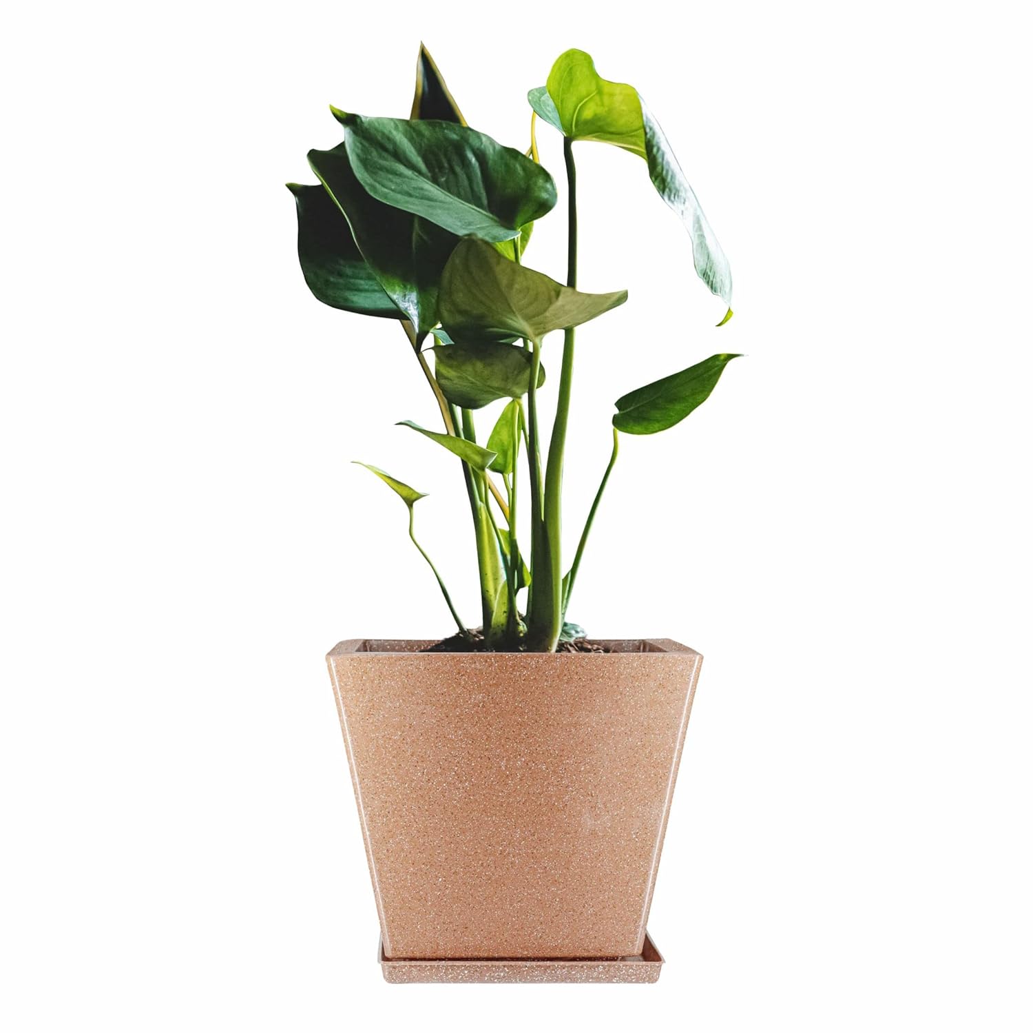 10 Inch Square Greece Marble Look Flower Pot with Tray