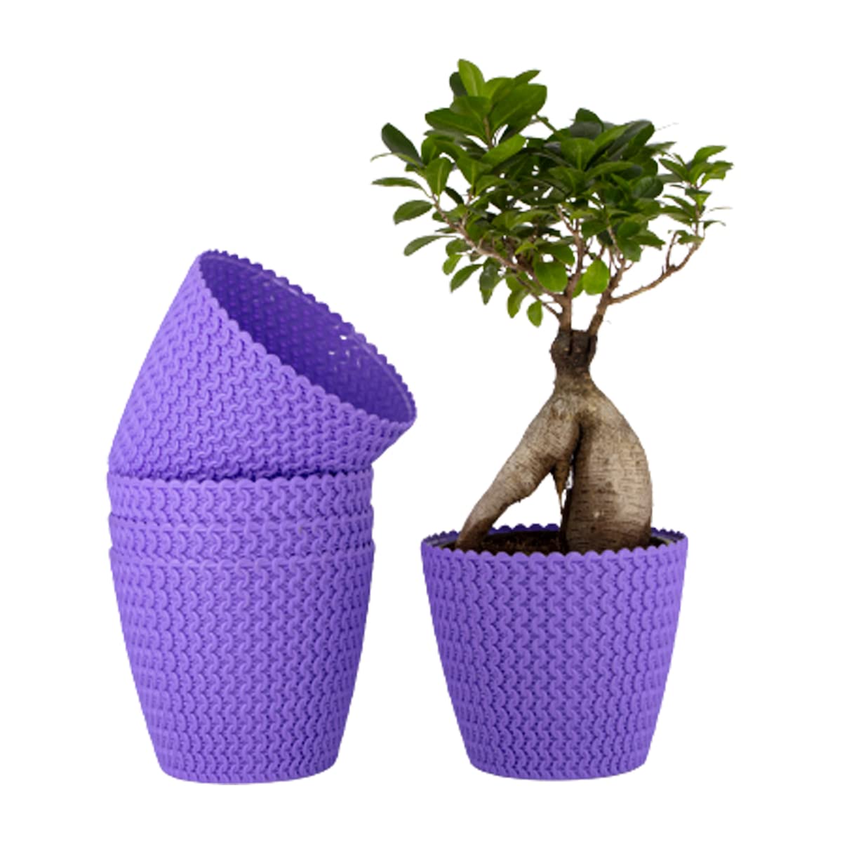 7 Inch Poppy Round Flower Pots  Set of 2