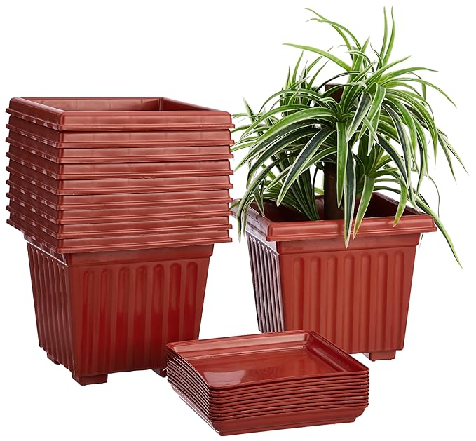 Square Plastic Pots for Plants with Bottom Tray – 10 Inch, Set of 10 – Durable Indoor & Outdoor Flower Pots for Home, Office, Balcony & Garden Decoration (Brown)