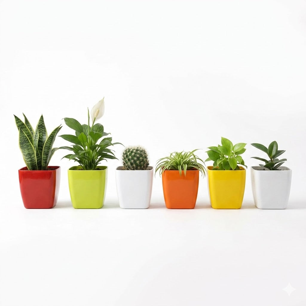 6 Inch Four Square Planter Set of 6  UV Resistant, Lightweight Multicolor Pots (Indoor/Outdoor)