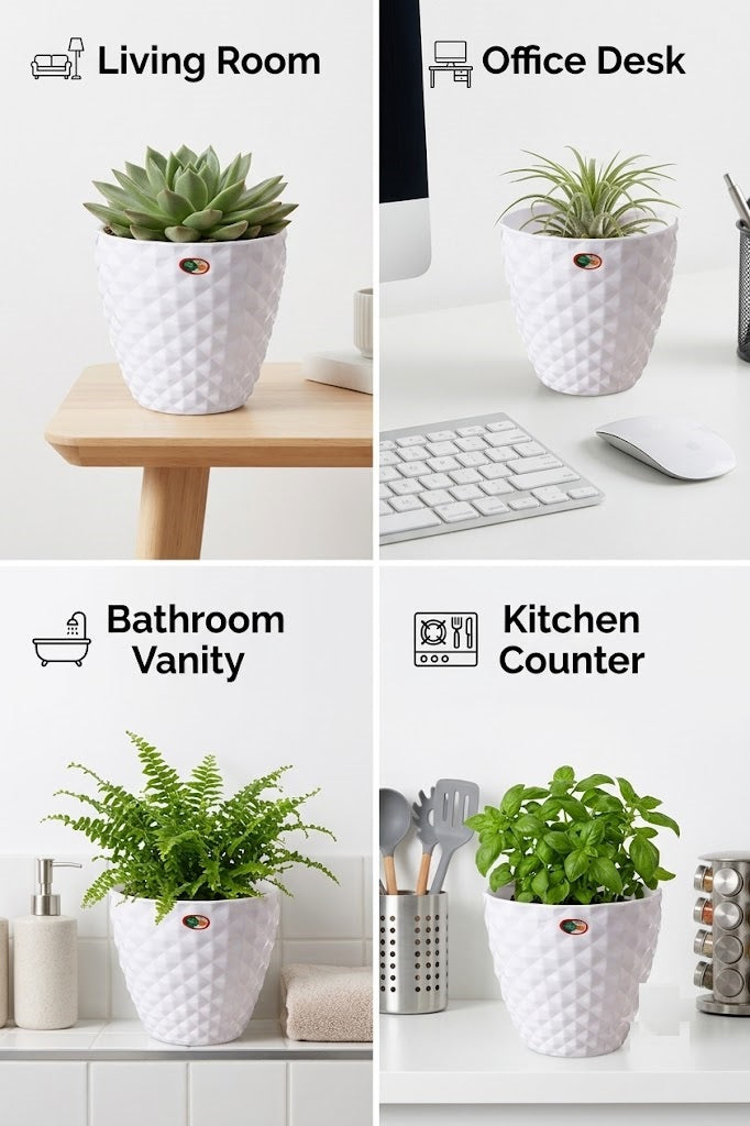 6 Inch Kohinoor Round Planter Set of 8 White Plastic Pots for Home, Garden & Office Decor