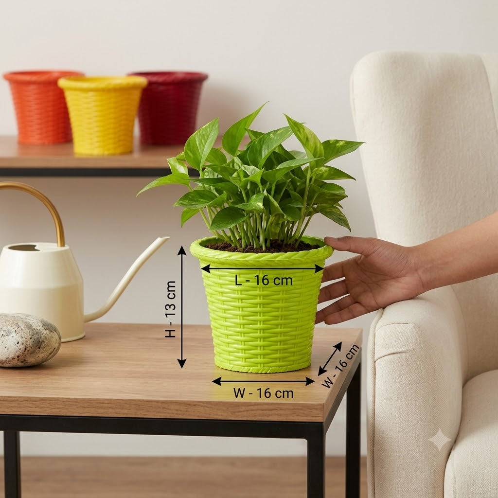 Shining Pot 6 inch (15 cm) Mix Fresh Set of 4 - Vibrant Decorative Planters