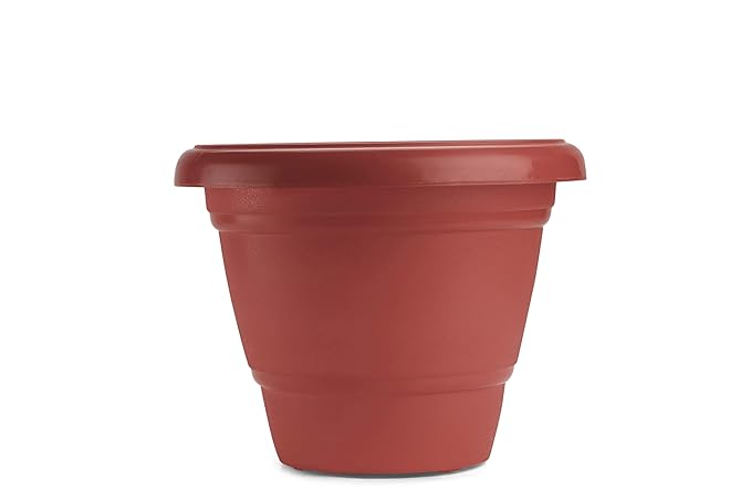 Round Pots for Plants with Bottom Tray | Indoor and Outdoor Flower Pot | 8 inch, Set of 4 |