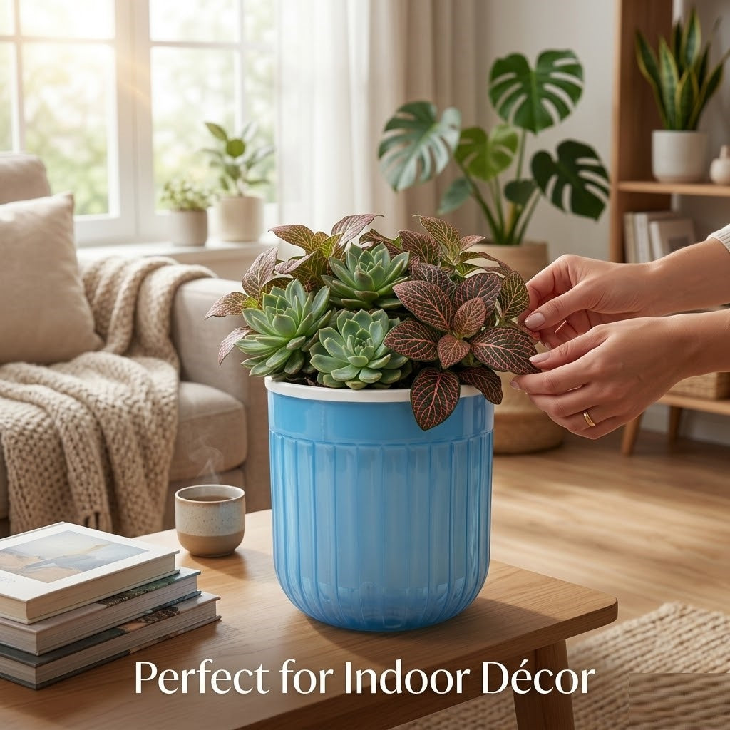 Seoul 6" Transparent Self-Watering Pots with White Inserts (Set of 2) – Modern Sleek Planters for Indoor Plants