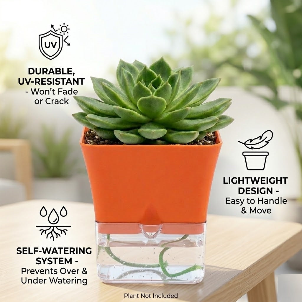 Austin 5-Inch Square Plant Pots Set of 2