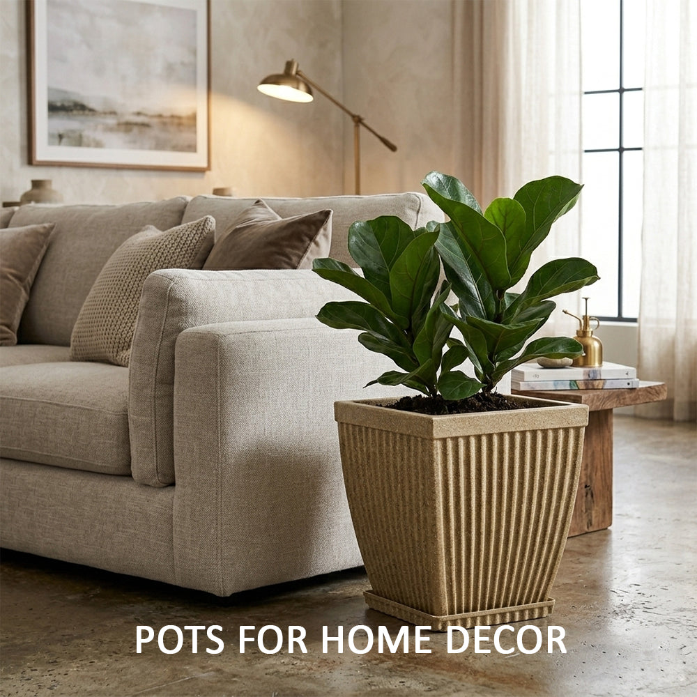Pots for Home Decor