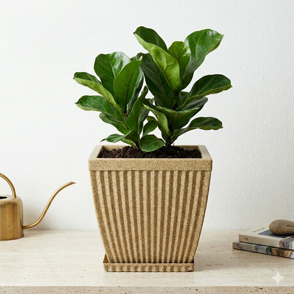 Pots for Home Decor