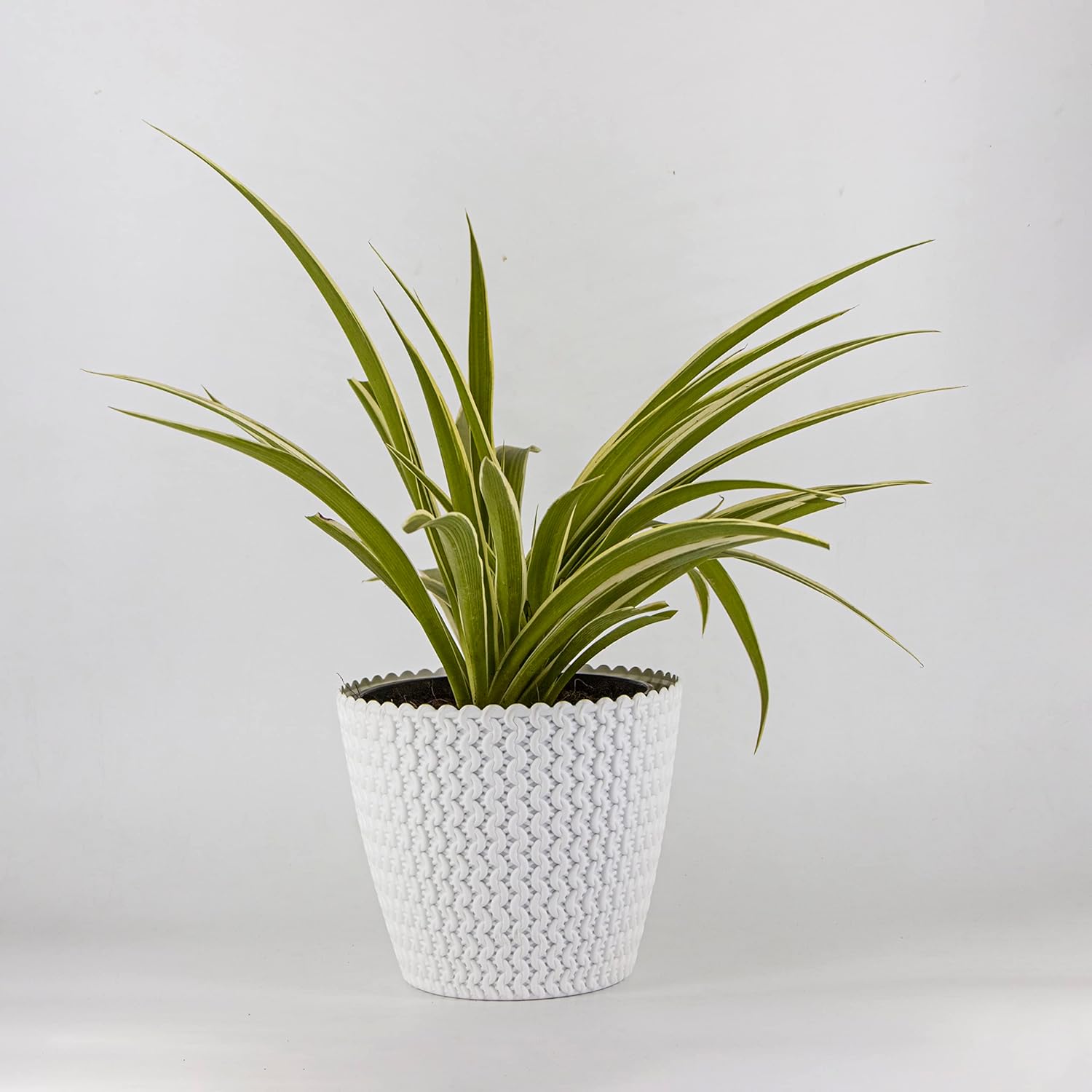 7 Inch Poppy Round Flower Pots  Set of 7