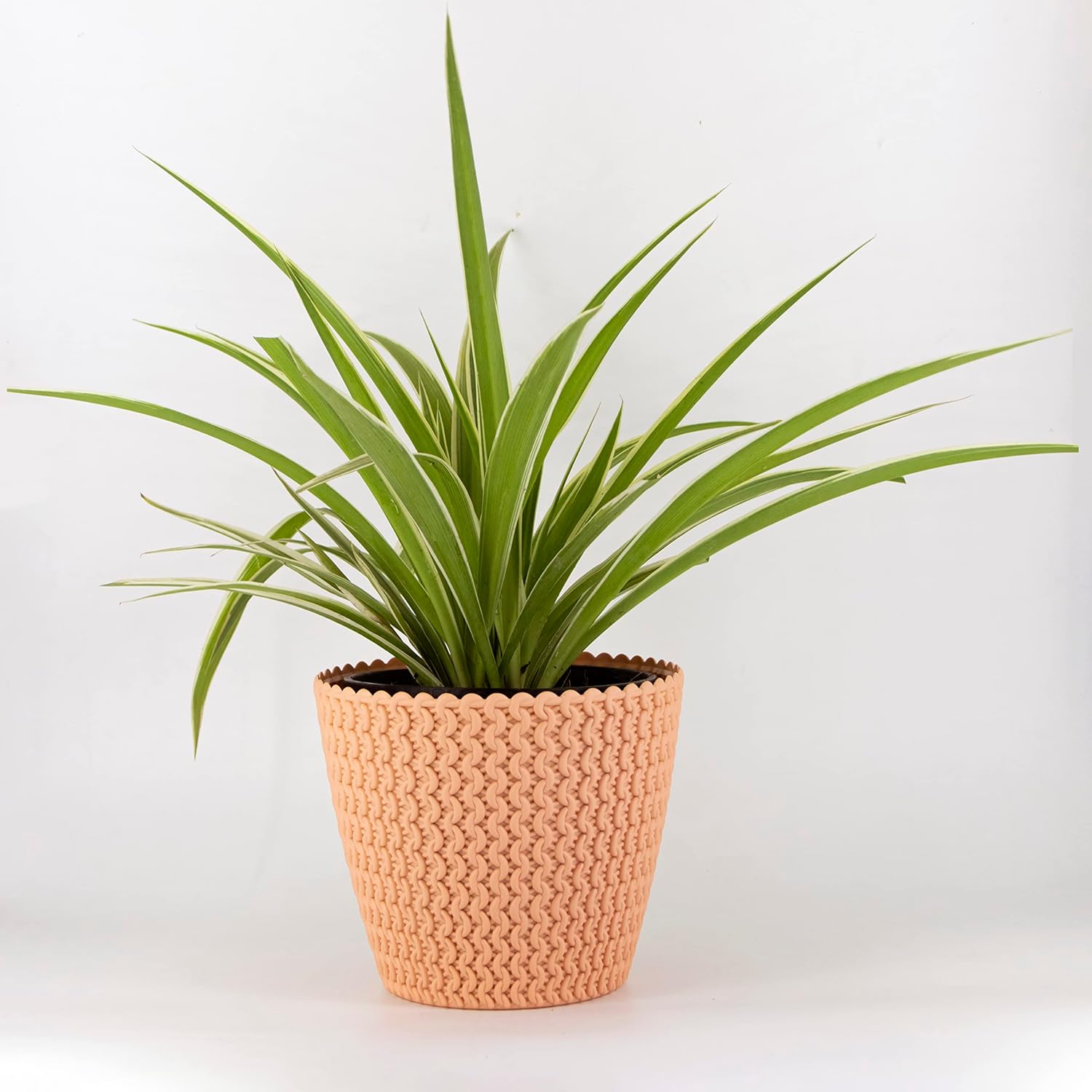 7 Inch Poppy Round Flower Pots  Set of 2